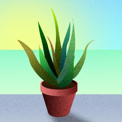 Start - 3 aprile 2020 Start - 3 aprile 2020