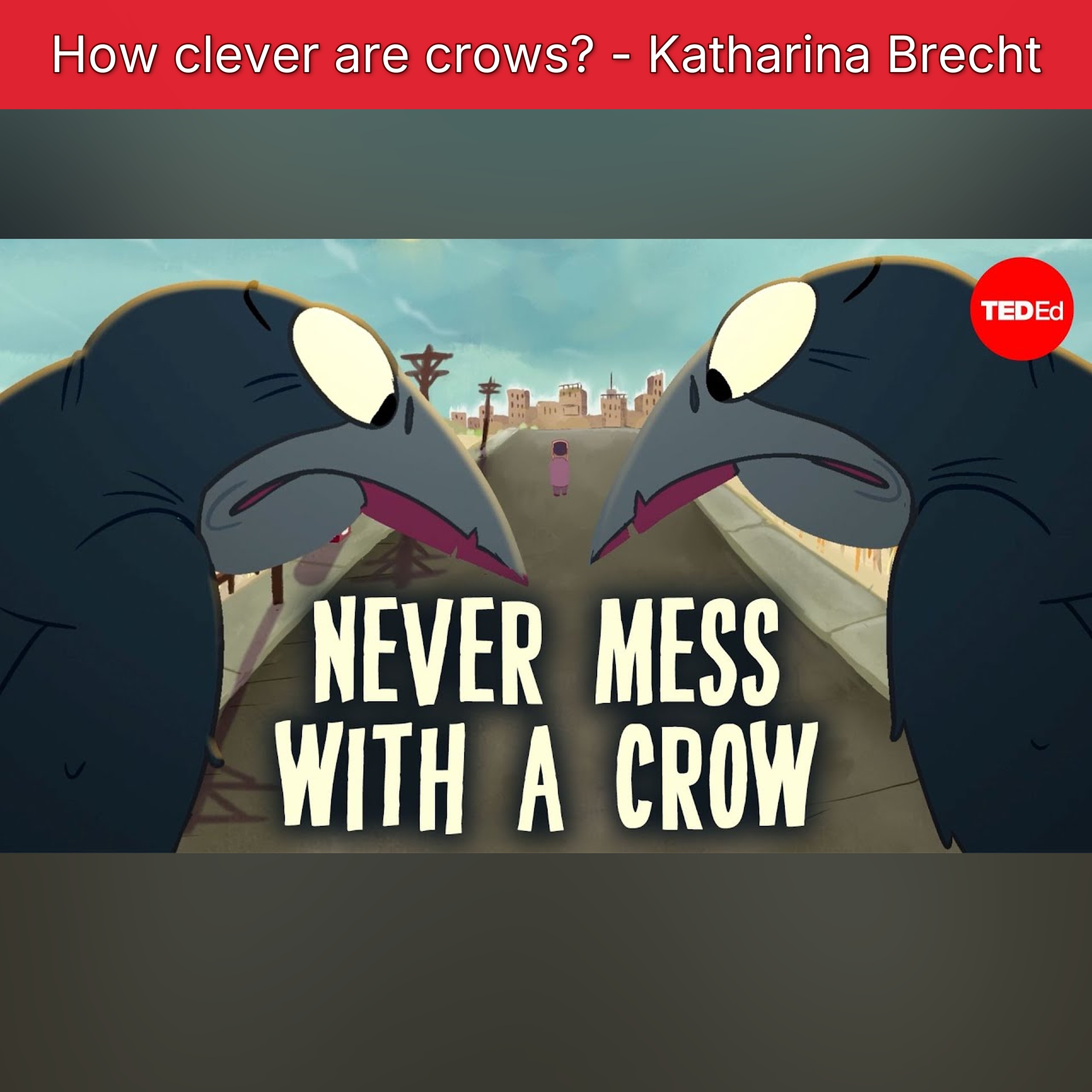 How clever are crows? - Katharina Brecht episode artwork
