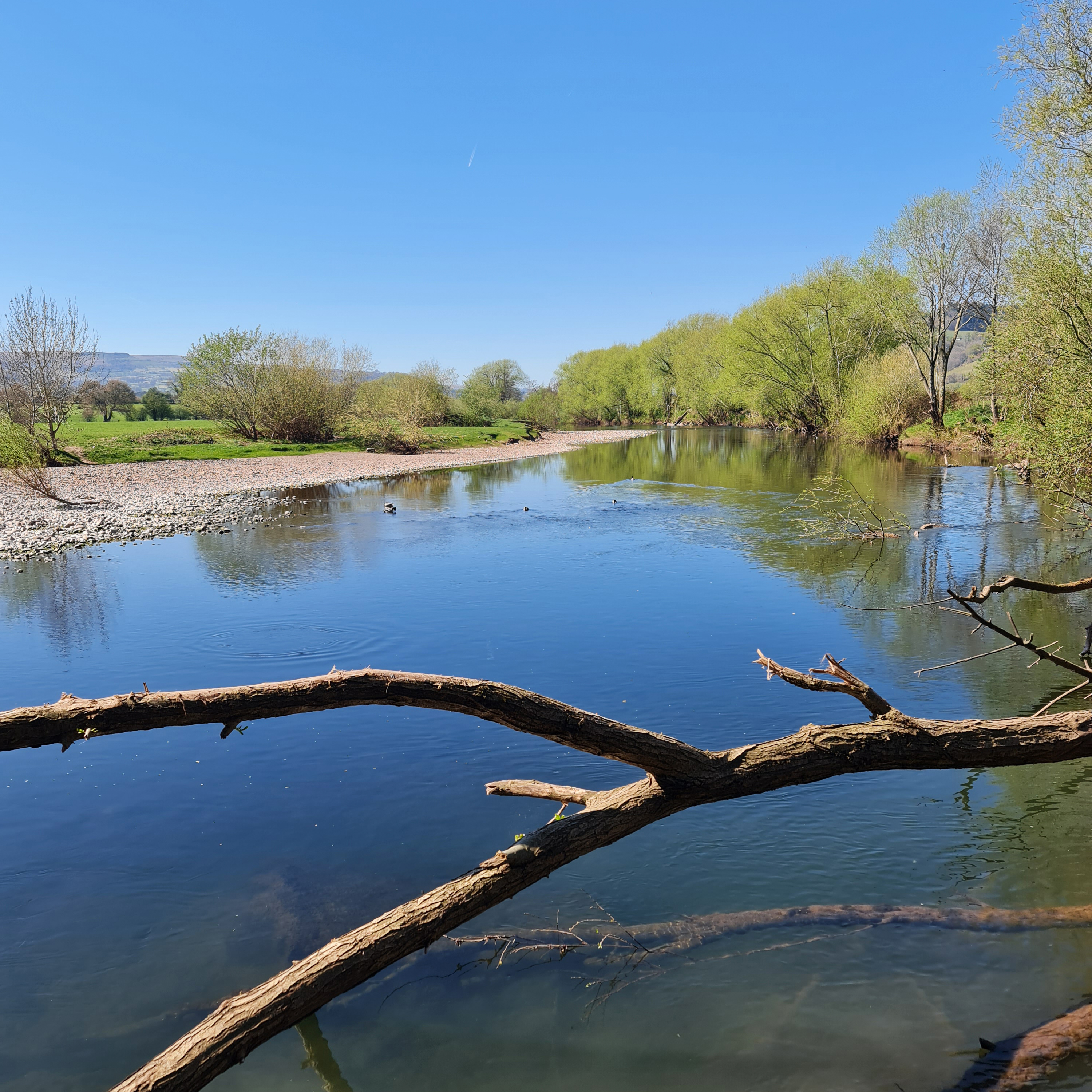 Sound Escape 219. A sandpiper serenade on the River Usk