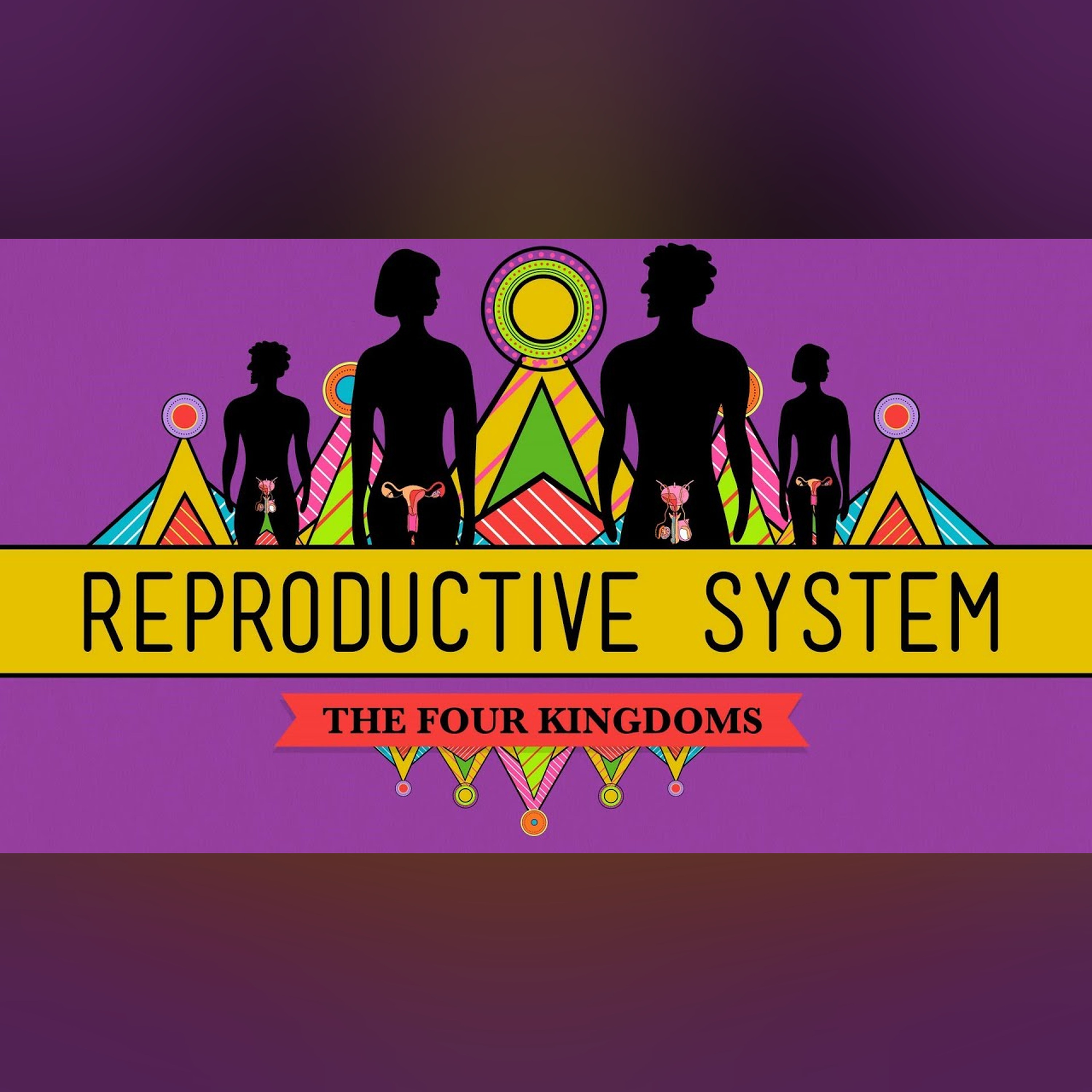 The Reproductive System: How Gonads Go - CrashCourse Biology #34