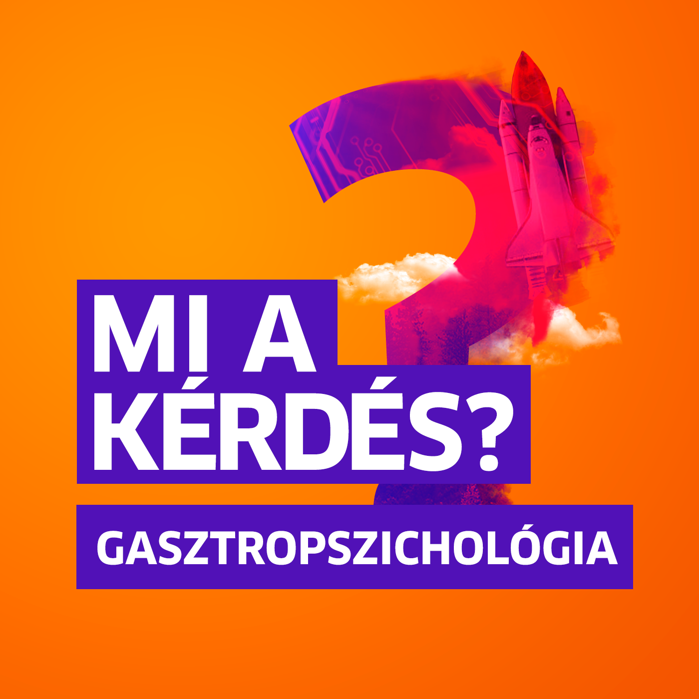A lelkünkkel is eszünk? | Mi a kérdés? Forgács Attilával episode artwork