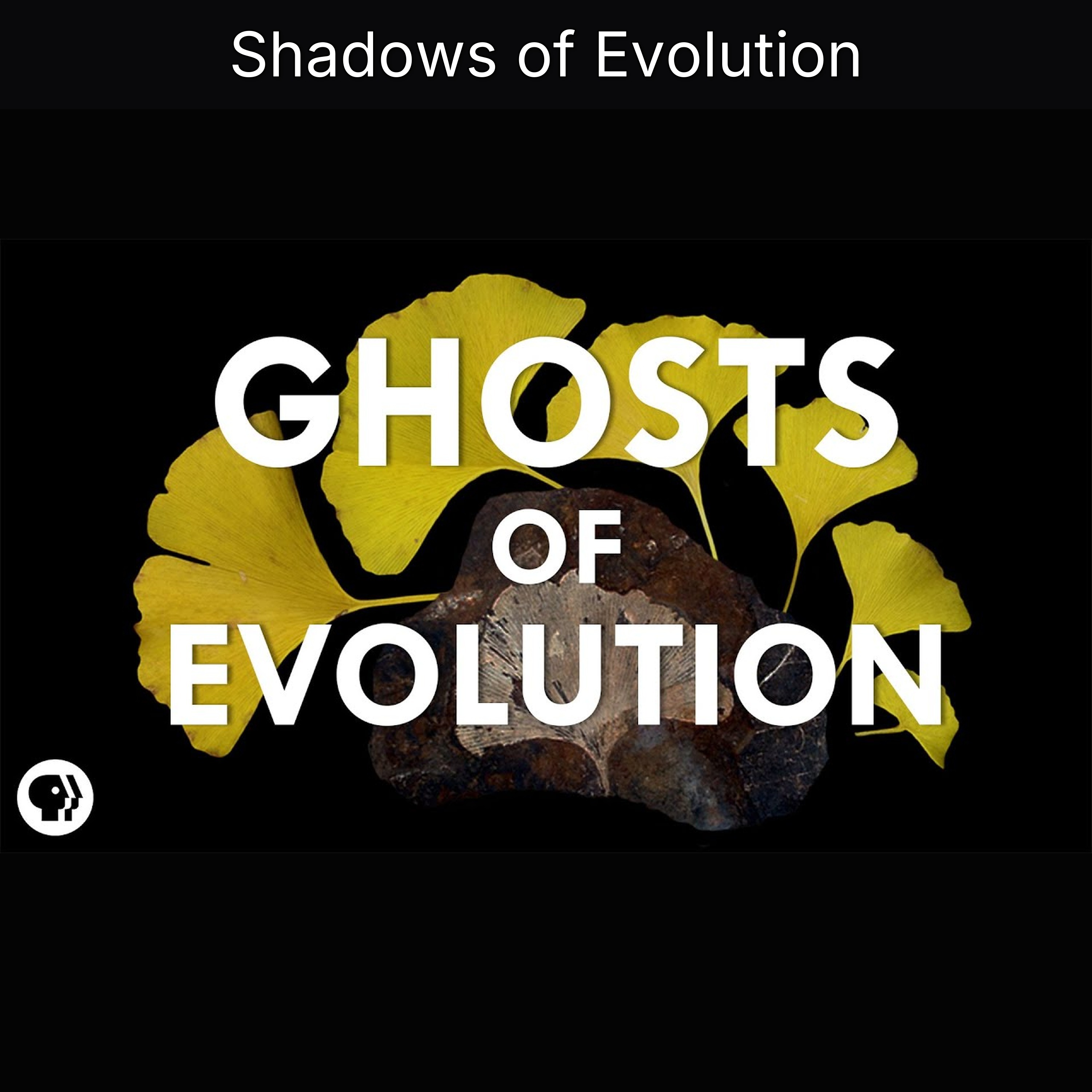 Shadows of Evolution episode artwork