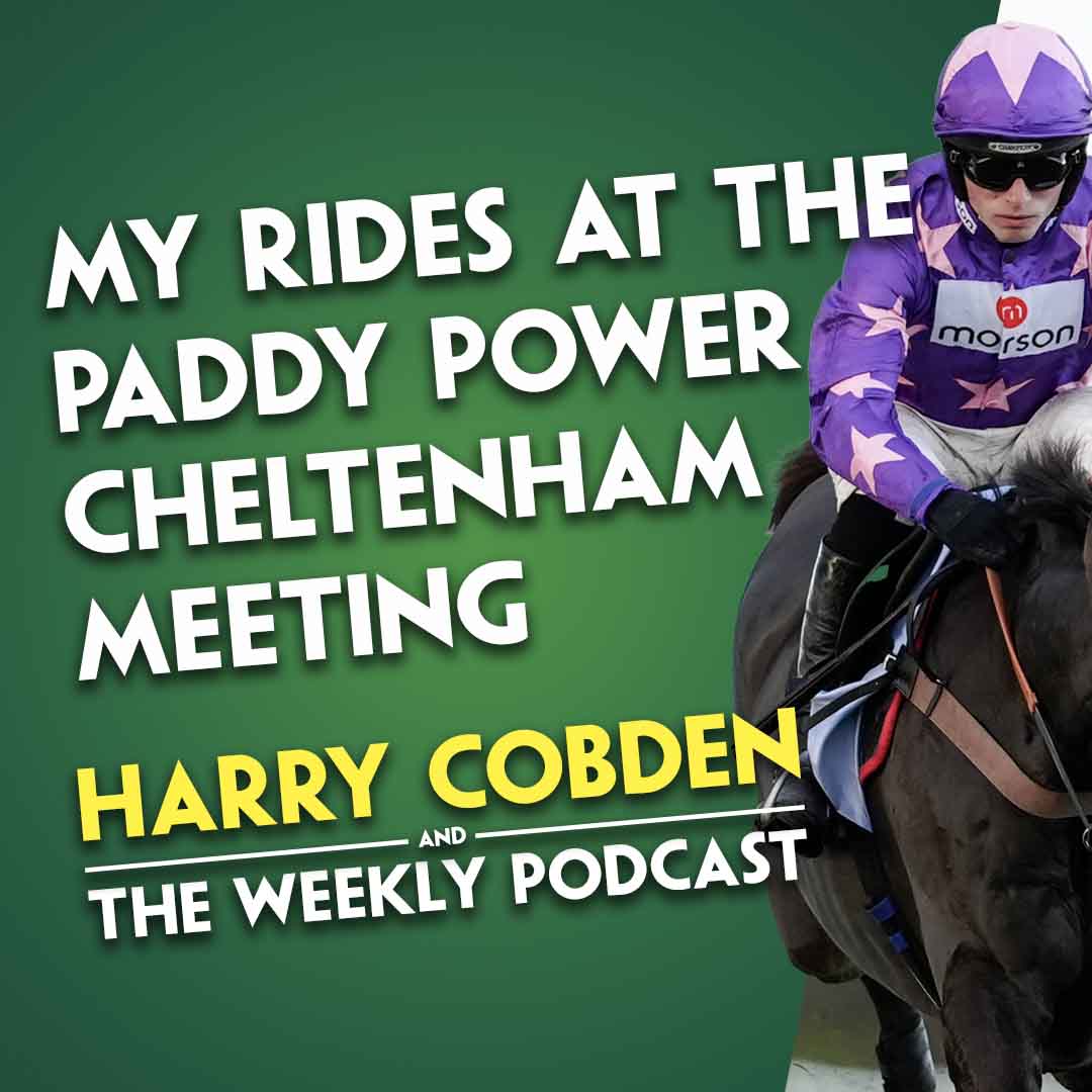 "HE SHOULD OUTRUN HIS ODDS" | Harry Cobden's Cheltenham Rides | Paddy Power November Meeting Tips