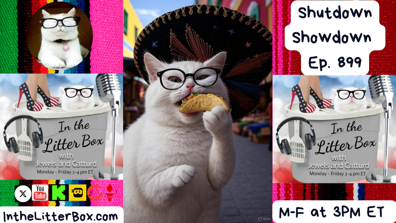 Shutdown Showdown | In the Litter Box w/ Jewels & Catturd – Ep. 899 – 10/9/2025
