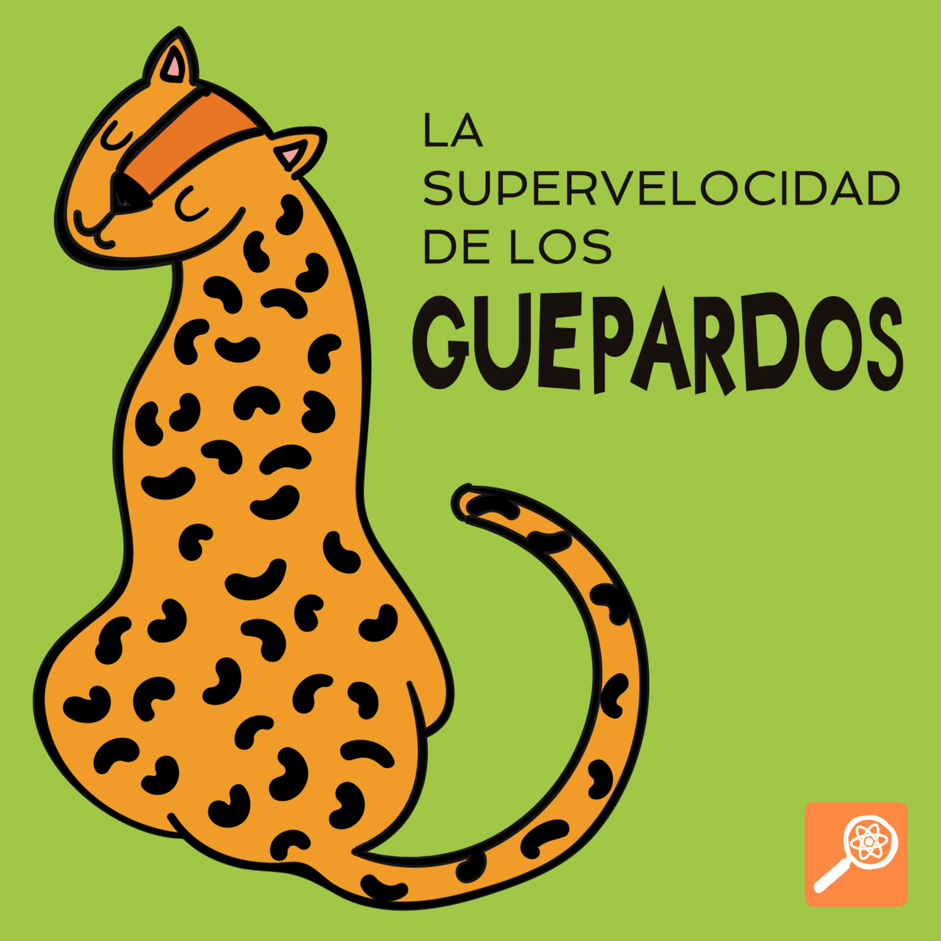 La Supervelocidad de los Guepardos