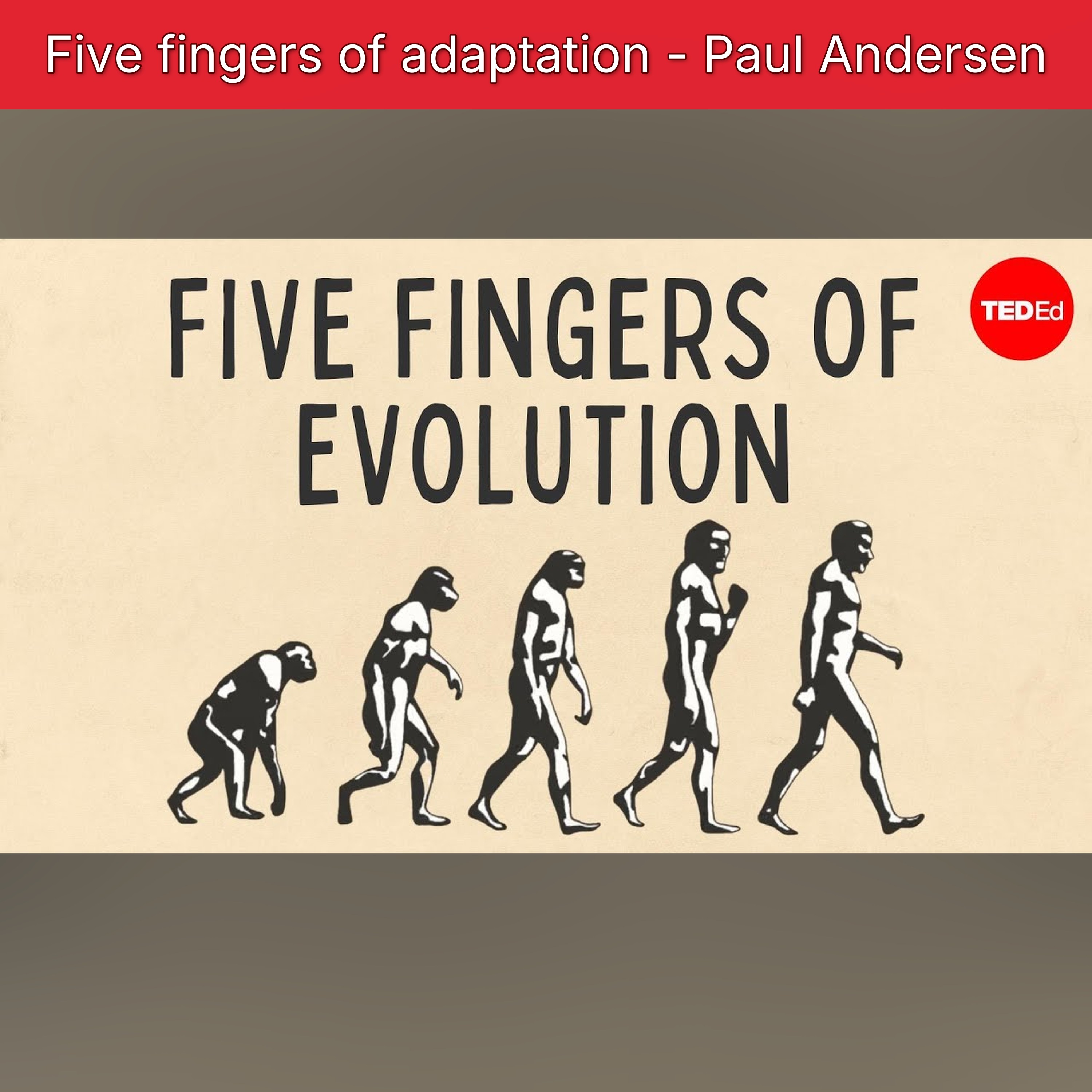 Five fingers of adaptation - Paul Andersen episode artwork