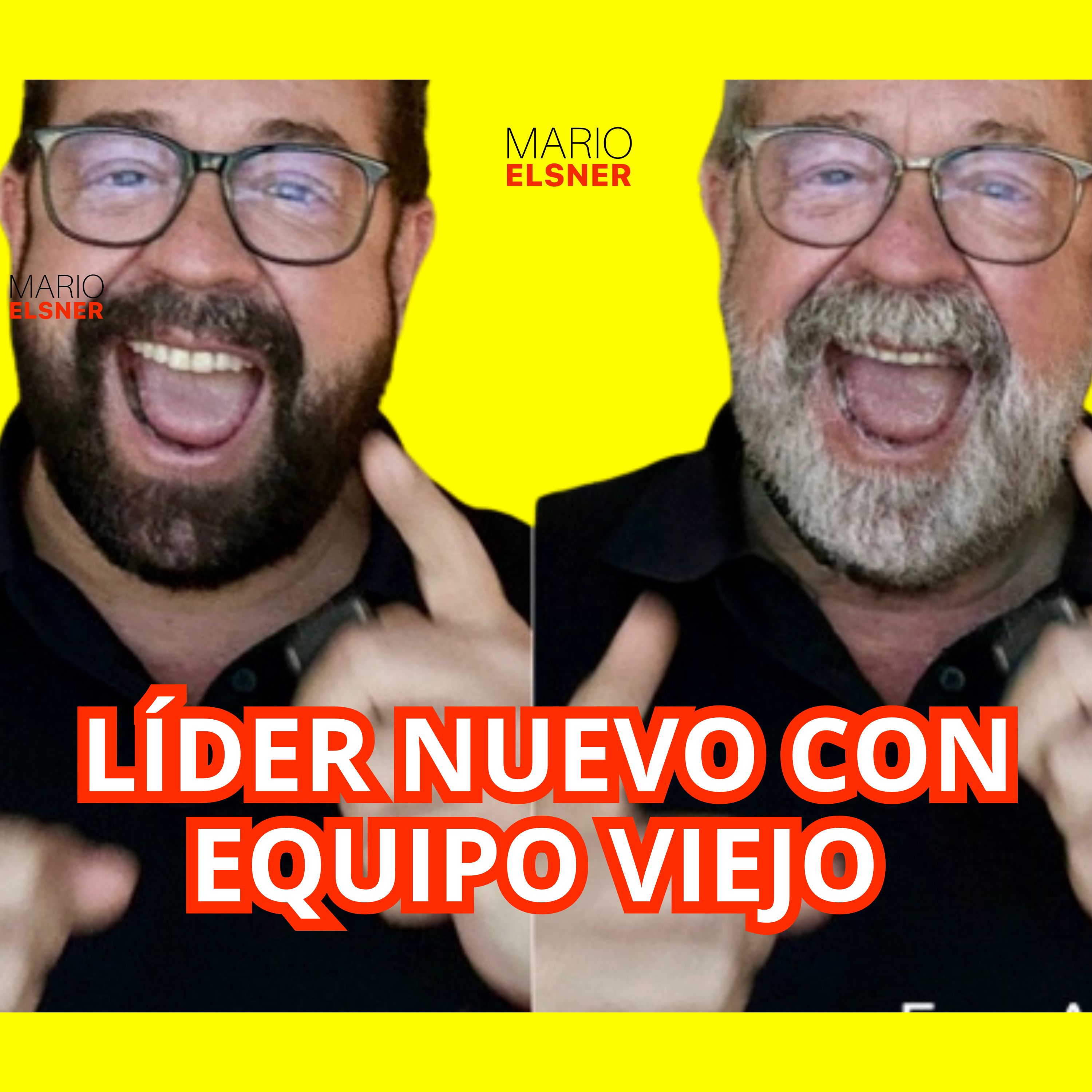 Portada de ¿Cómo lo haría un DIRECTOR?