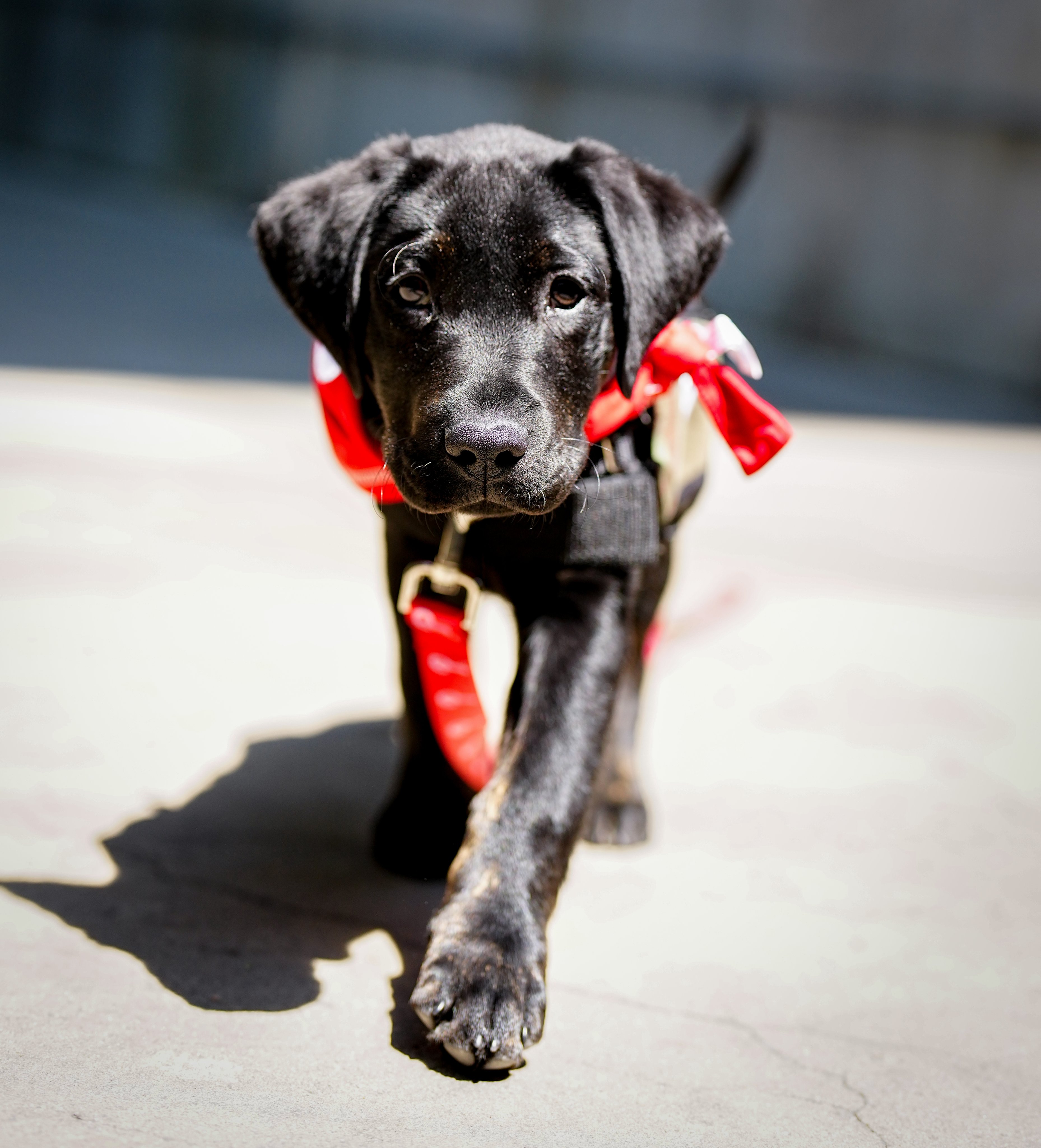 Is It 7:05 Yet? Podcast: Episode 80: The Major Era Has Begun