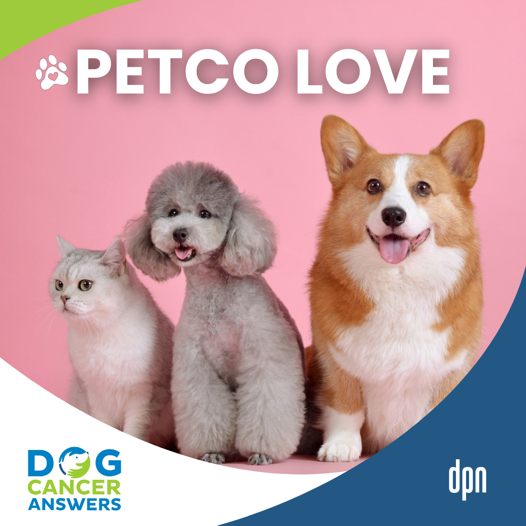 Lost Pets, Free Vaccines, and Cancer Research: Petco Love's Game-Changing Initiatives | Susanne Kogut #296