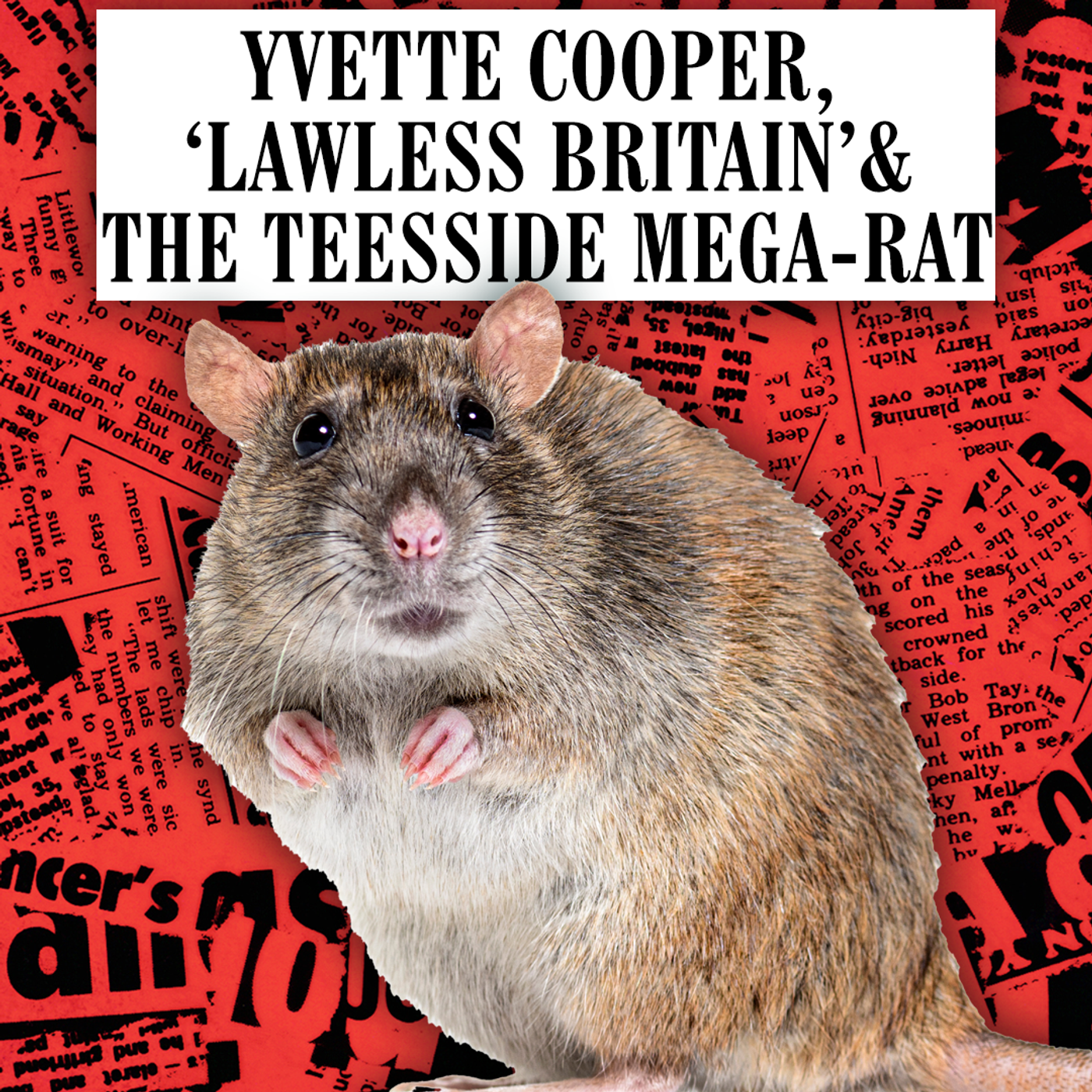 Yvette Cooper, 'Lawless Britain' & The Teesside Mega-Rat