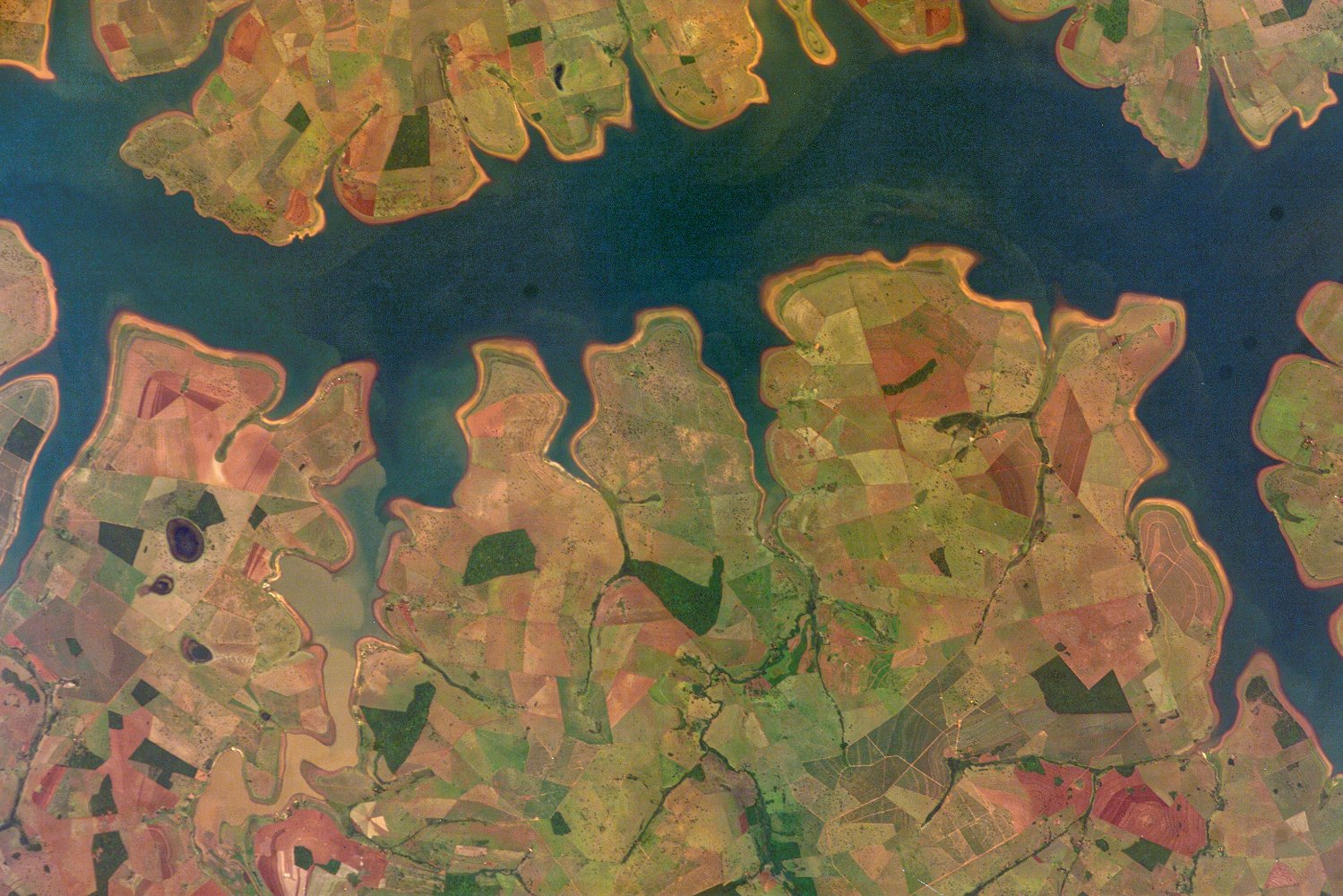 Why do Brazilian cars run on sugar?