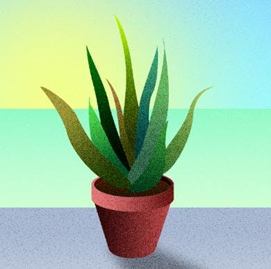 Start – 2 aprile Start – 2 aprile