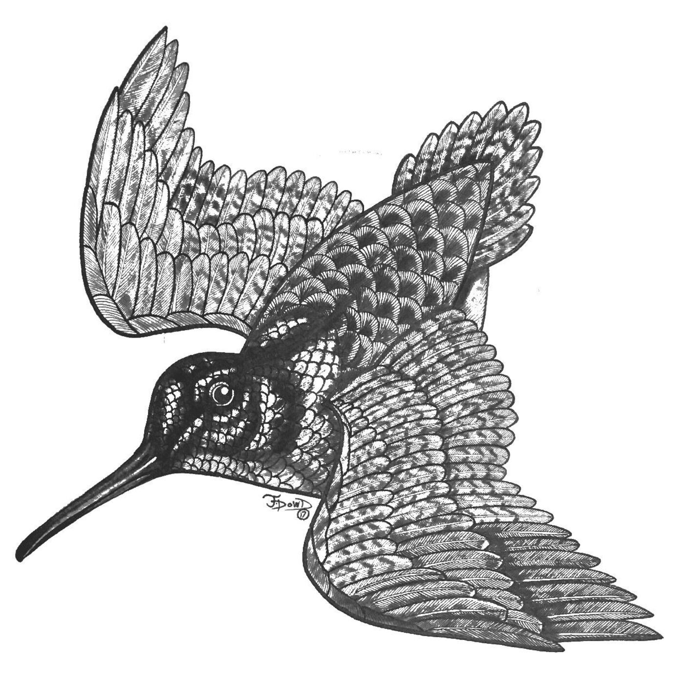 Companion Gundog Podcast