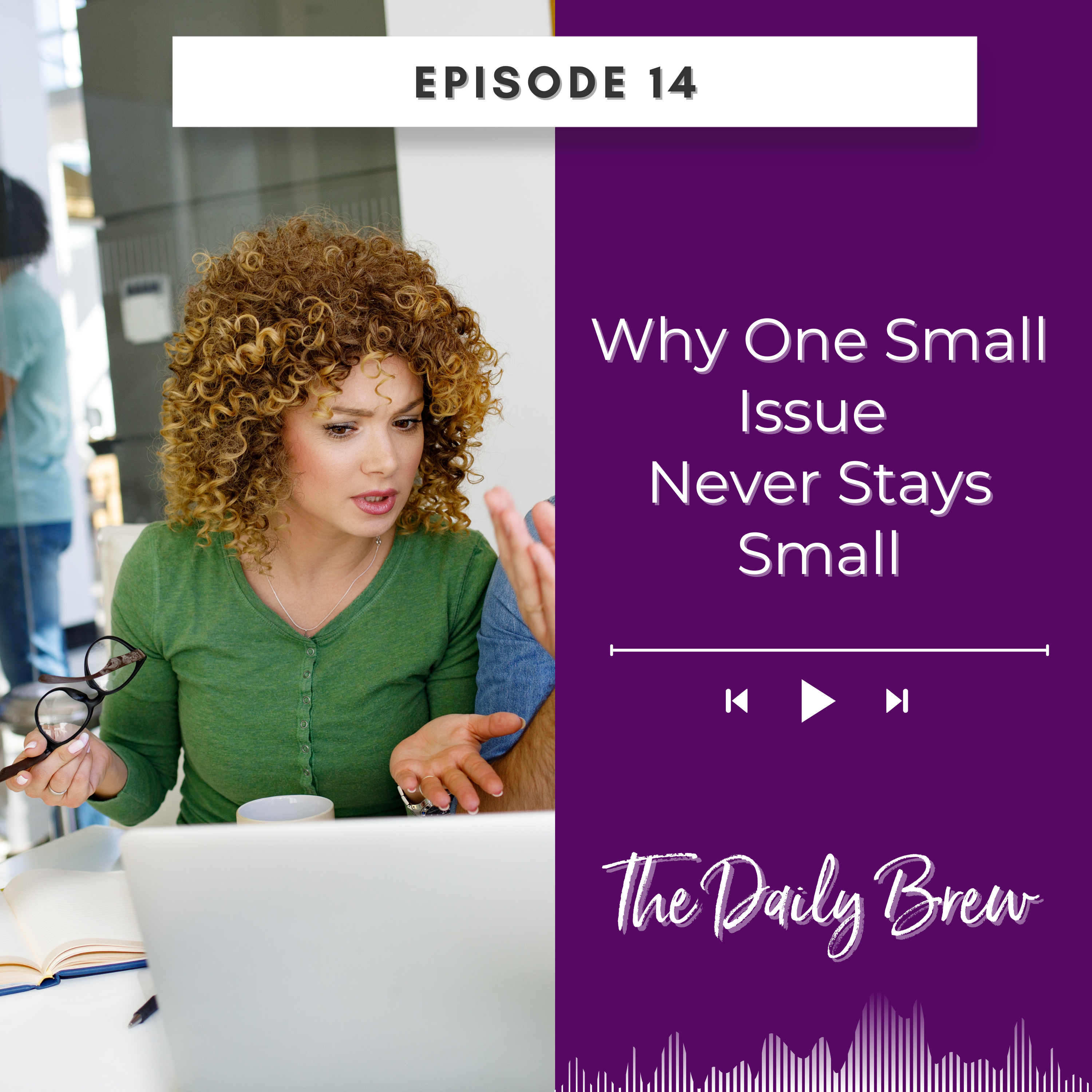 Why One Small Issue Never Stays Small EP 14 episode artwork