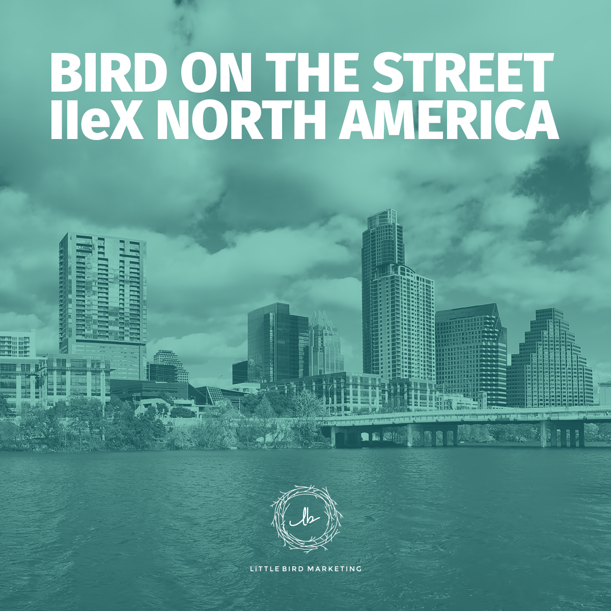 Ponderings from the Perch