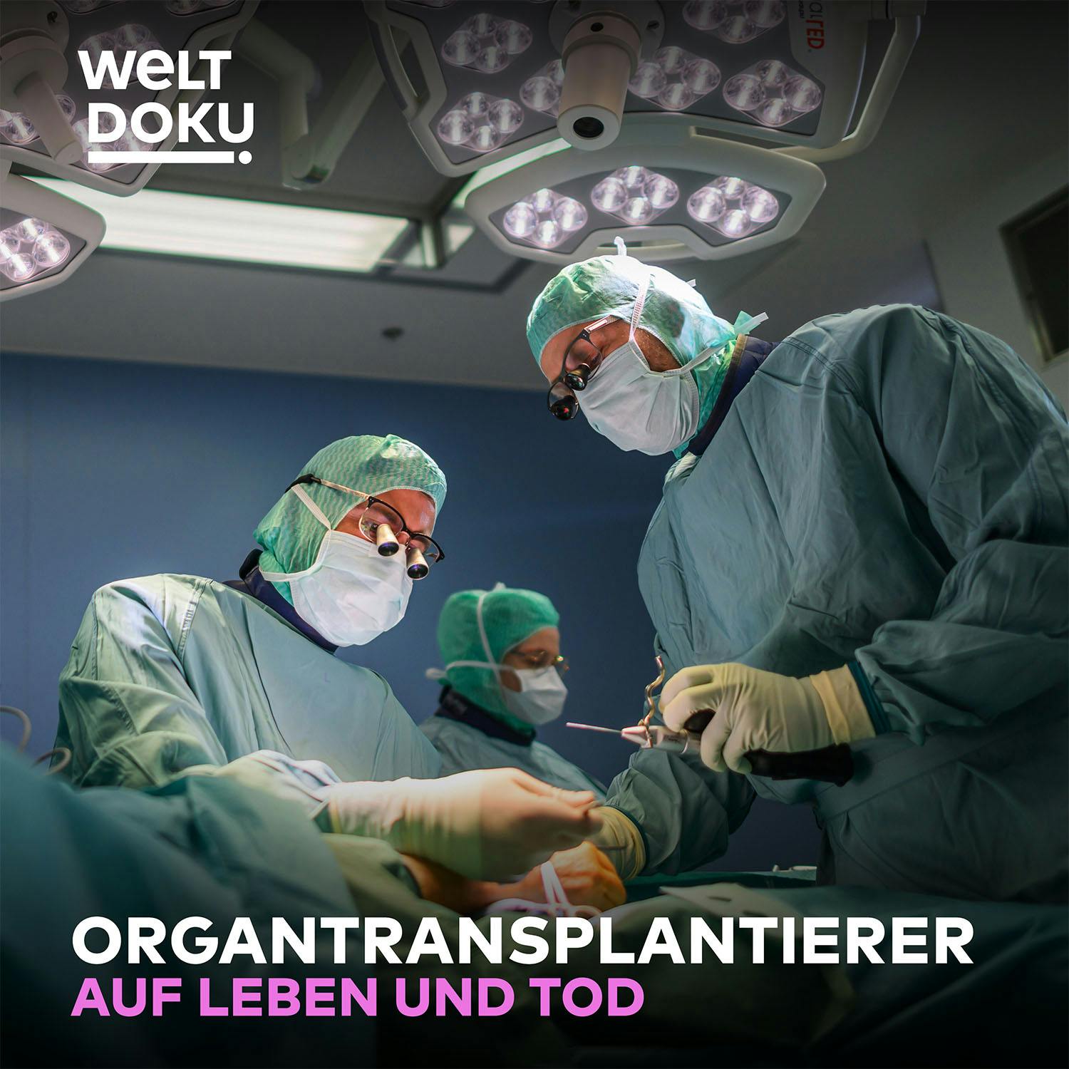Ein Wettlauf gegen die Zeit – Alltag im Organtransplantations-Team Ein Wettlauf gegen die Zeit – Alltag im Organtransplantations-Team