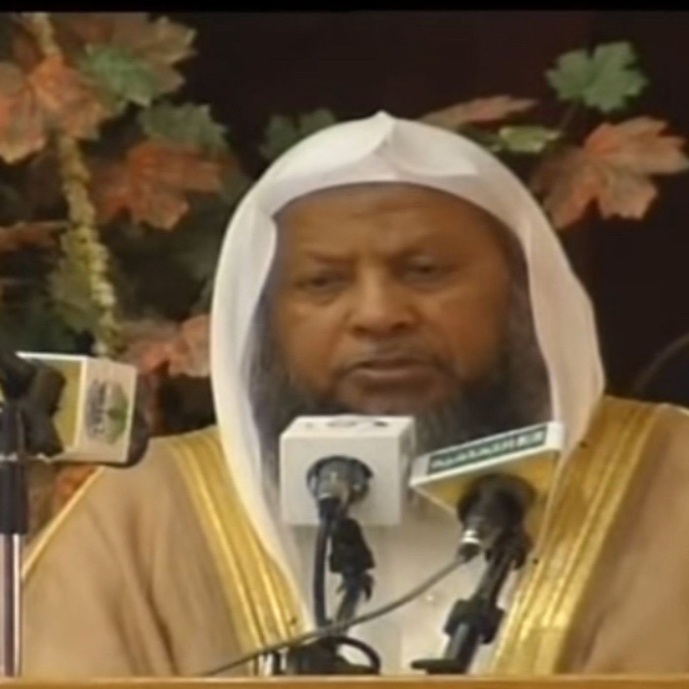 Sheikh Muhammad Ayyub in Medina University episode artwork