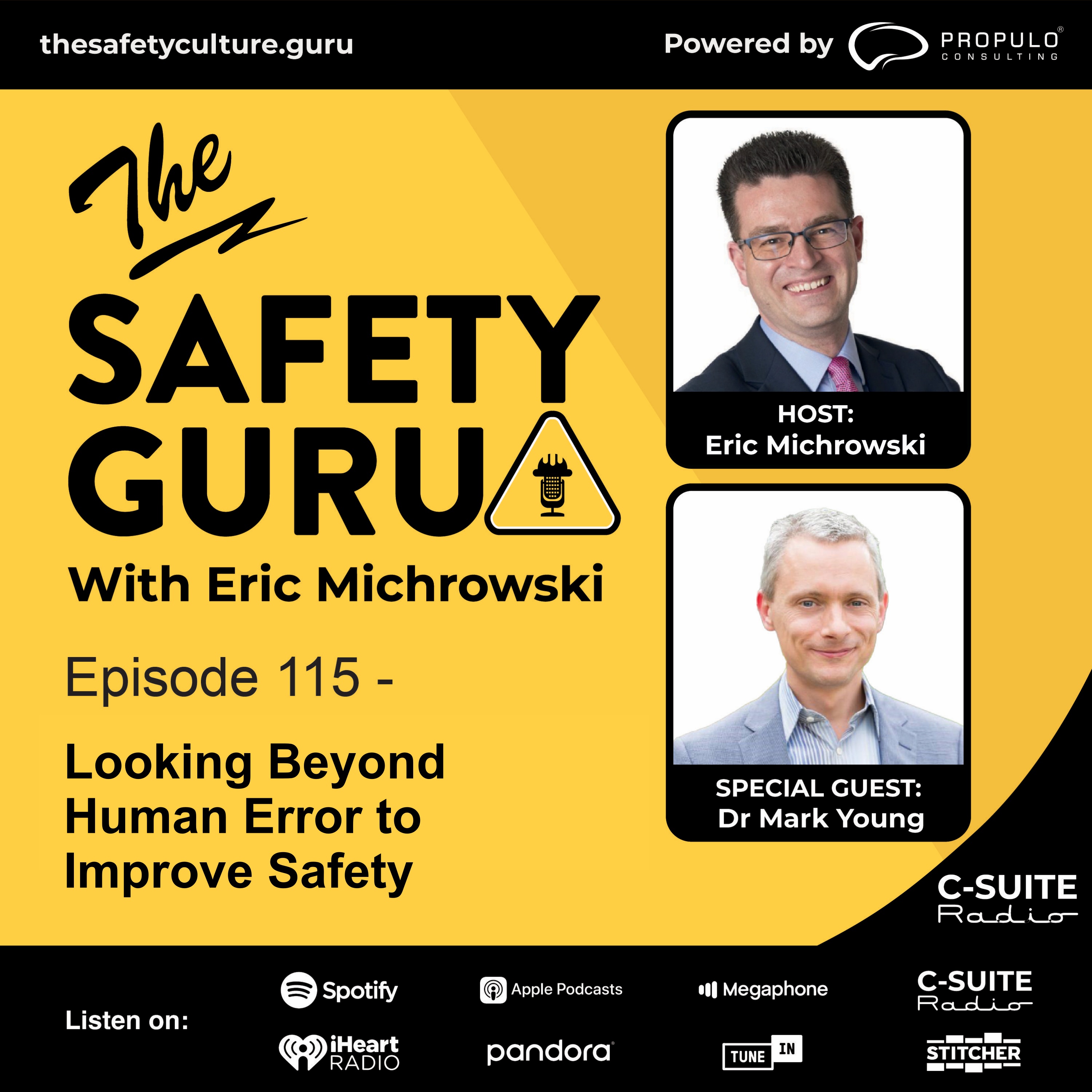 Episode 115 - Looking Beyond Human Error to Improve Safety with Dr. Mark Young episode artwork