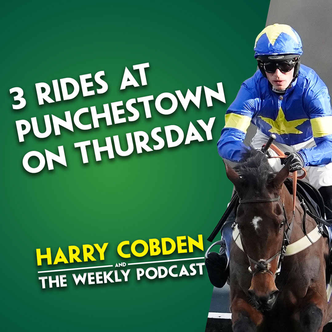 HARRY COBDEN'S PUNCHESTOWN THURSDAY RIDES | Birdie Or Bust | Salvator Mundi | Honesty Policy | Day 3