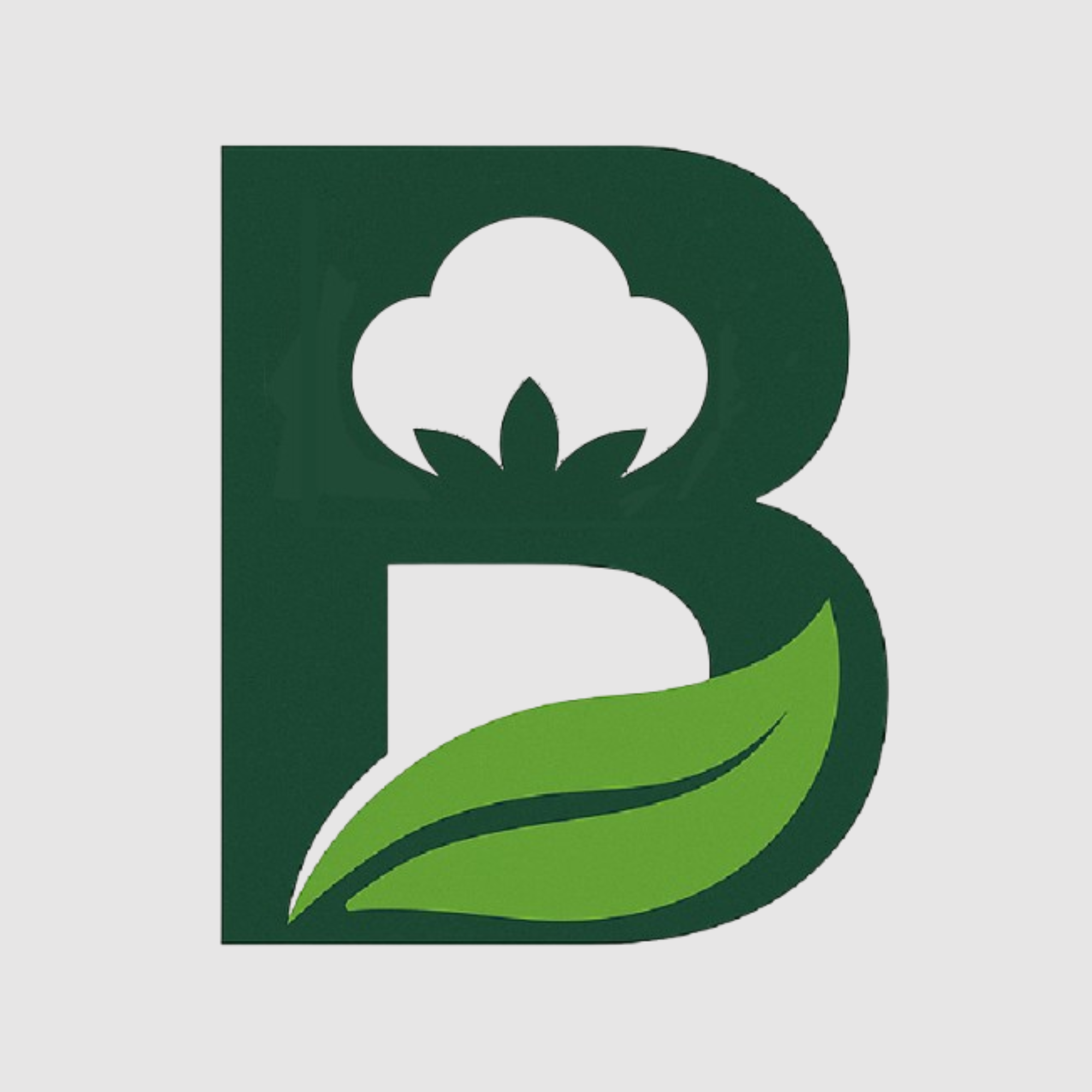 Mission Matters Business Podcast with Adam Torres