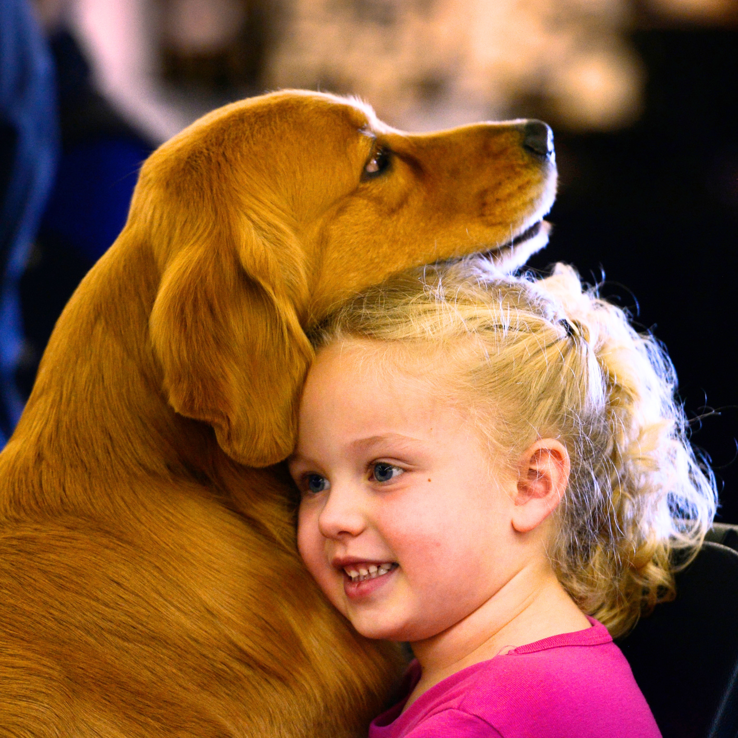The cost of loving your pet