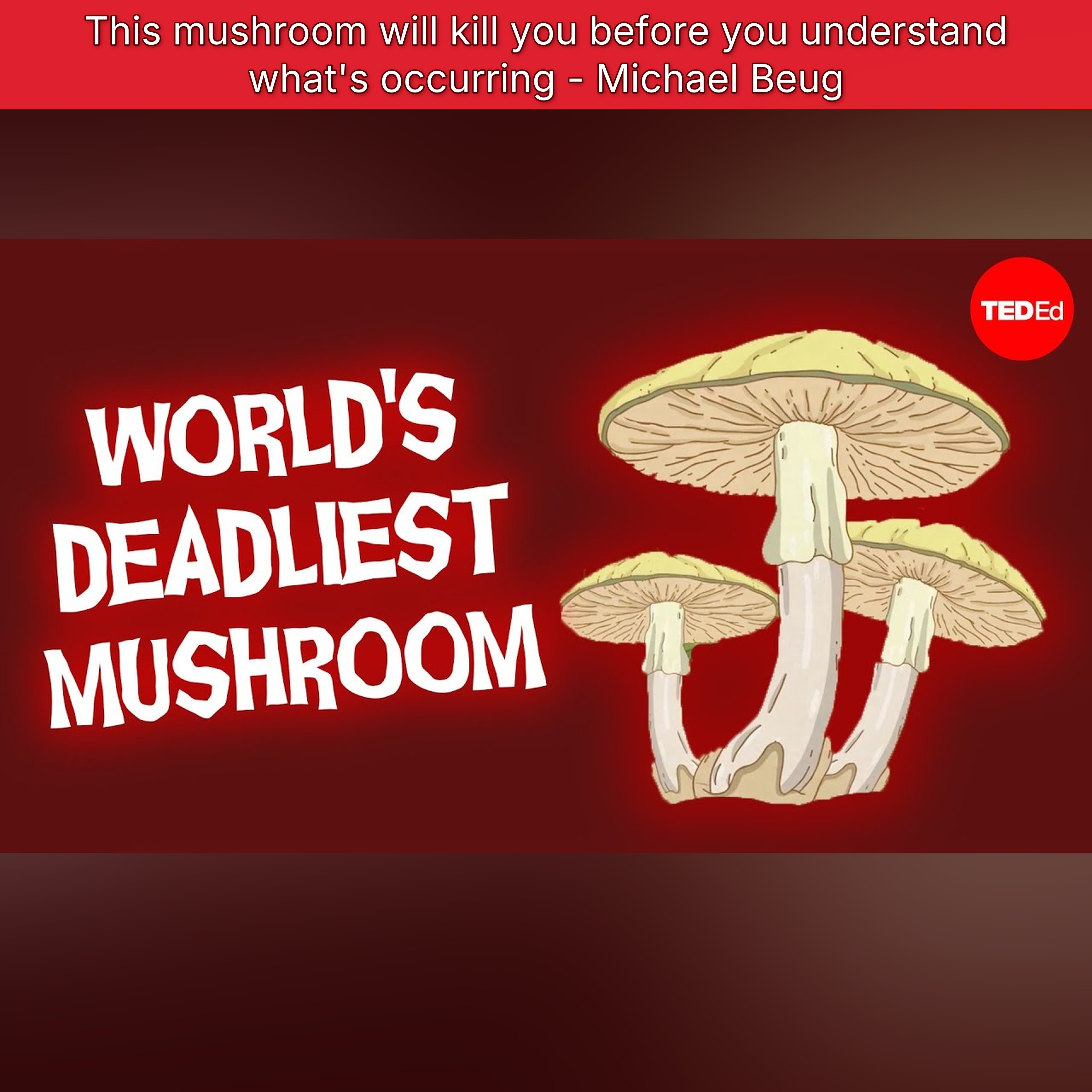 This mushroom will kill you before you understand what's occurring - Michael Beug episode artwork