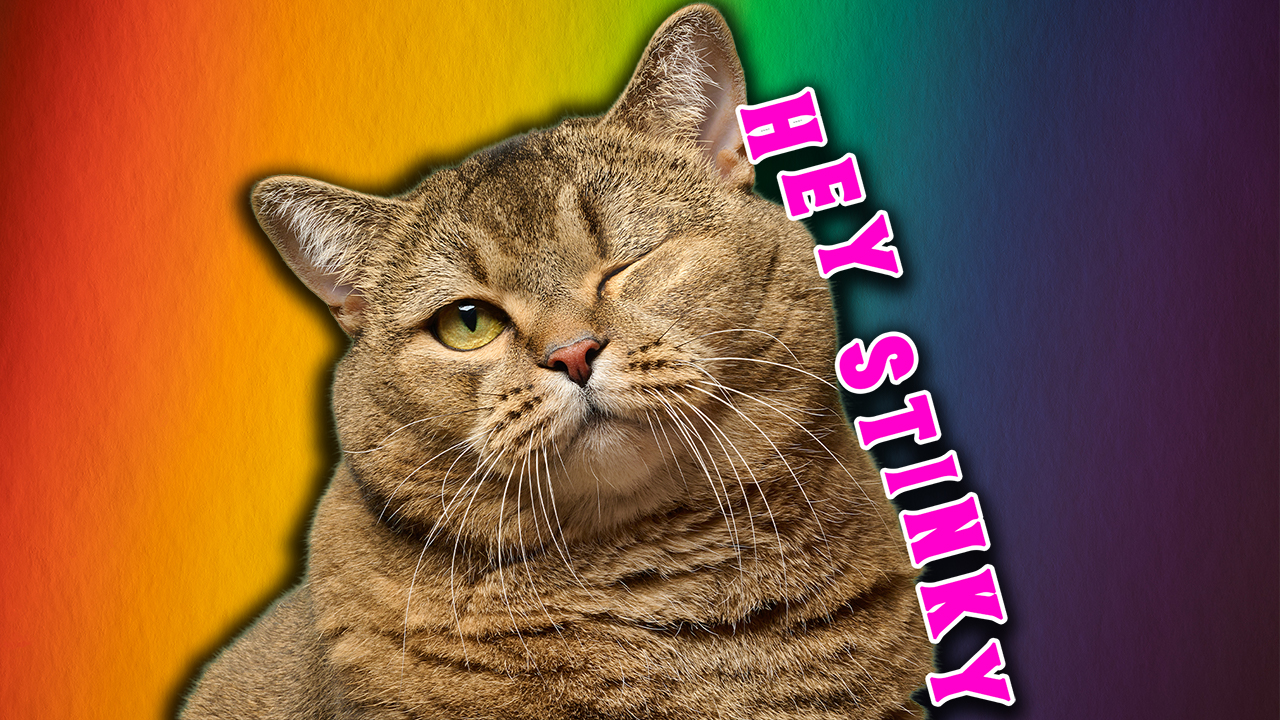 This April Fools Pet Video Is INSANE | it's just me rating pets, it's not insane, it's boring