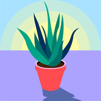 Lavoro, chi assume i Neet non paga il 60% dello stipendio per un anno