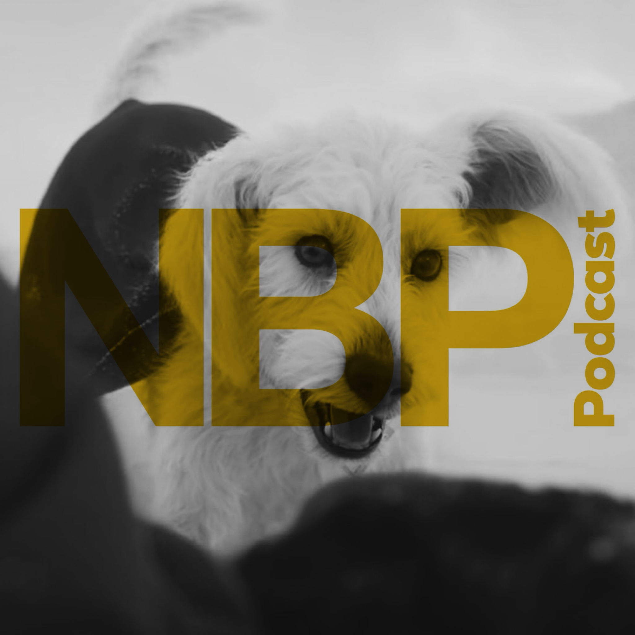 Episode 422 - The 2025 Oscar Shortlists, Happy Holidays, "Superman," "Warfare" & "Black Bag" Trailers