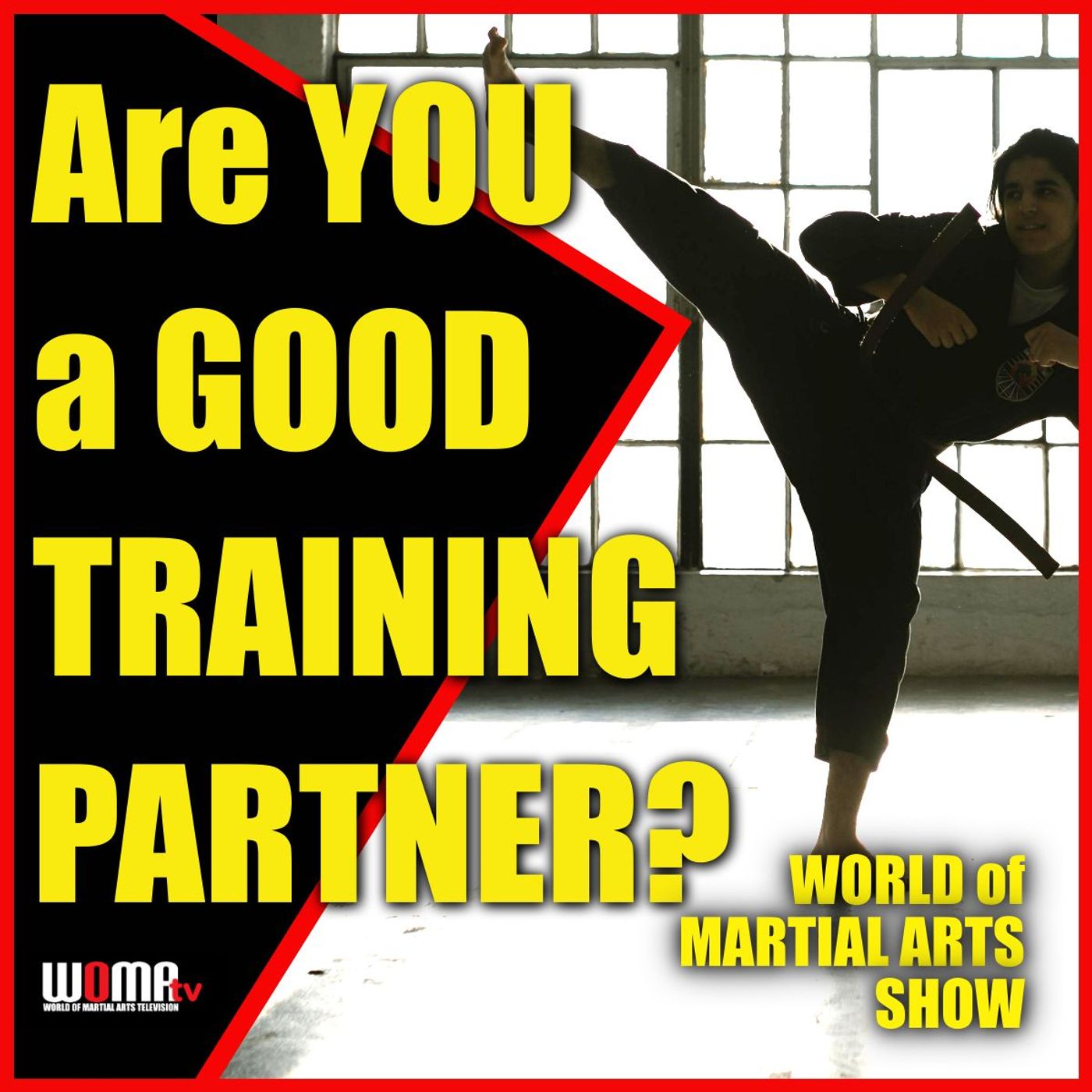Are YOU a GOOD Training Partner? episode artwork