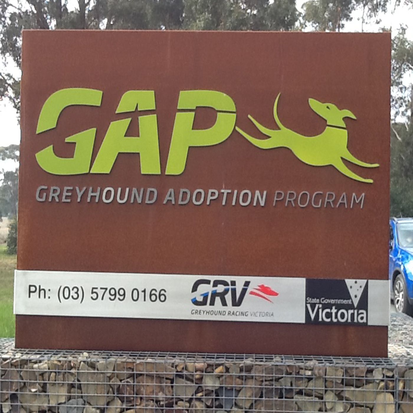Andrew Kuuse attended the recent GAP Adoption day & spoke to many of those adopting Greyhounds episode artwork