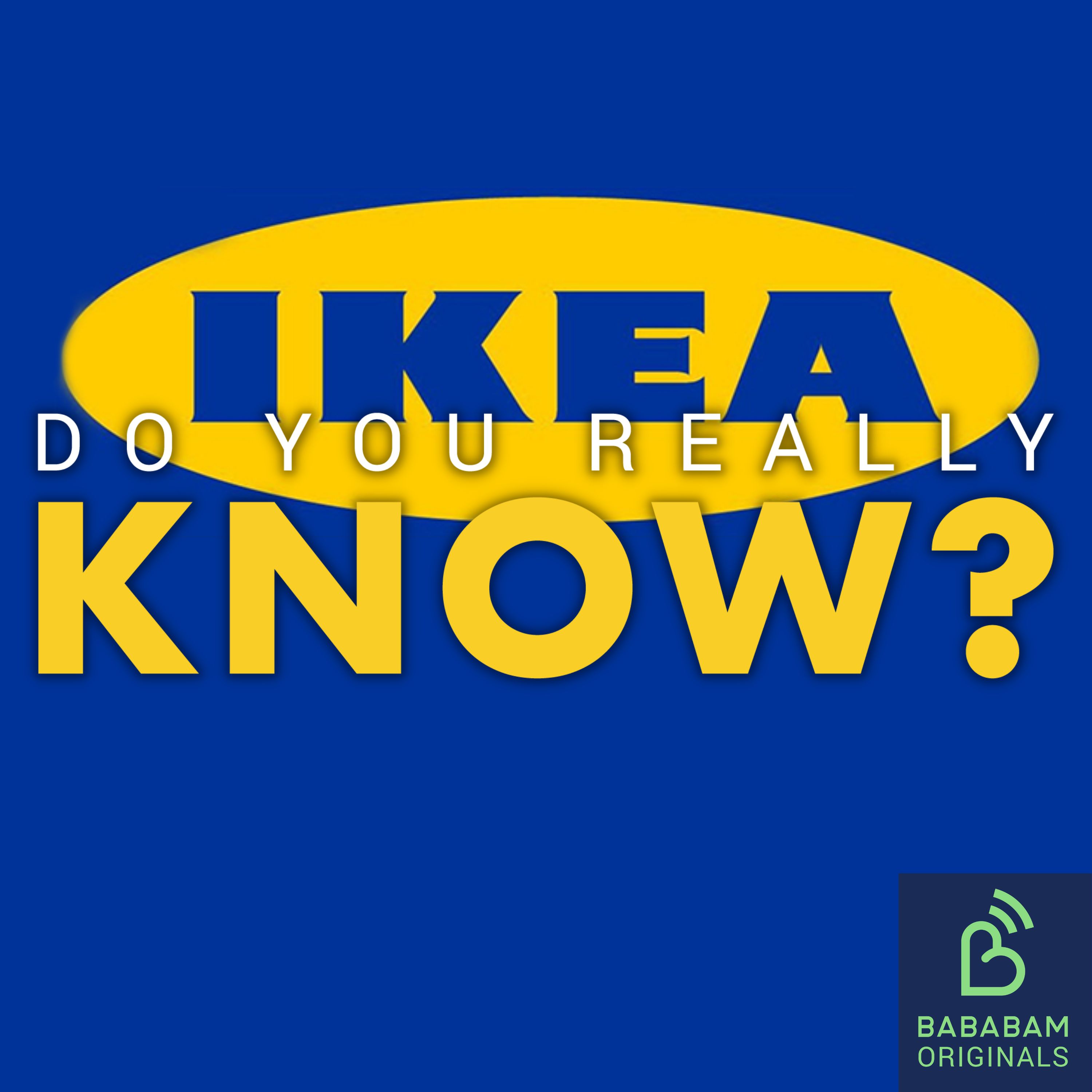 What is the Ikea effect?