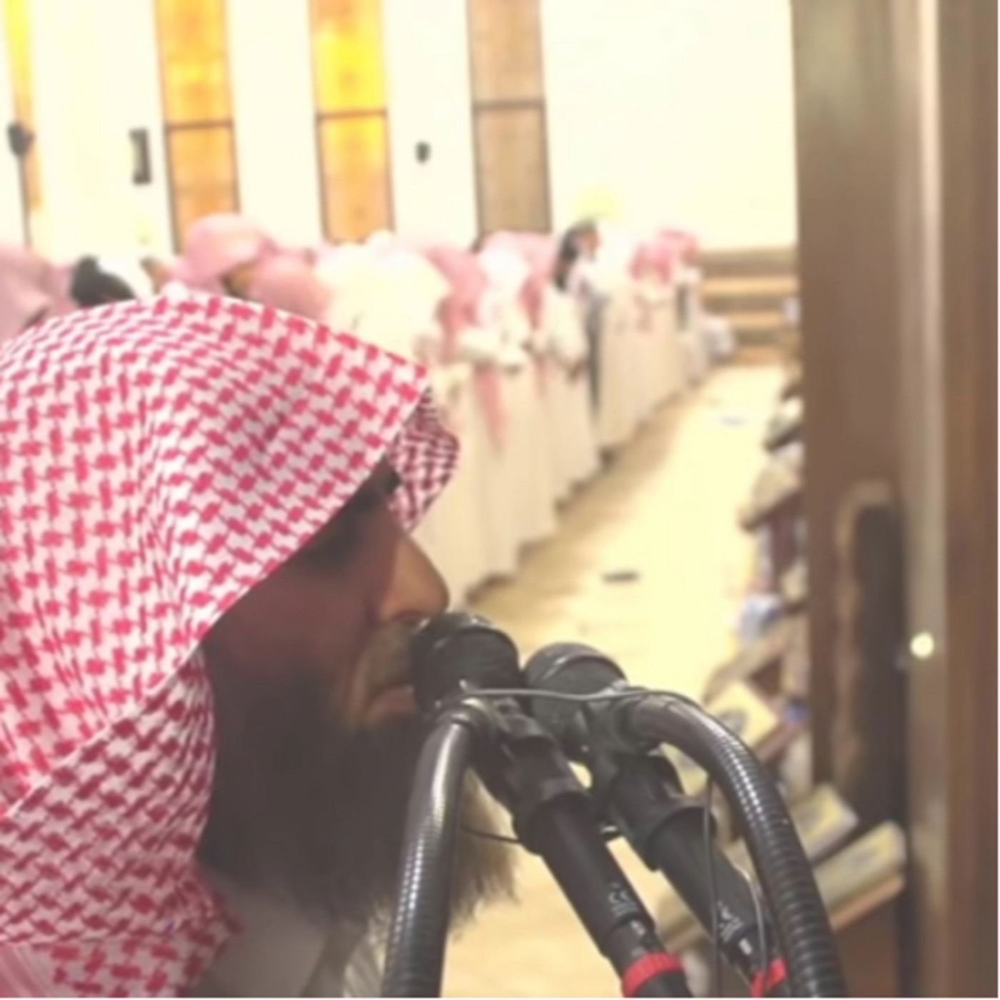 Surah Ya Sin - Muhammad Al Luhaidan (48-70) episode artwork