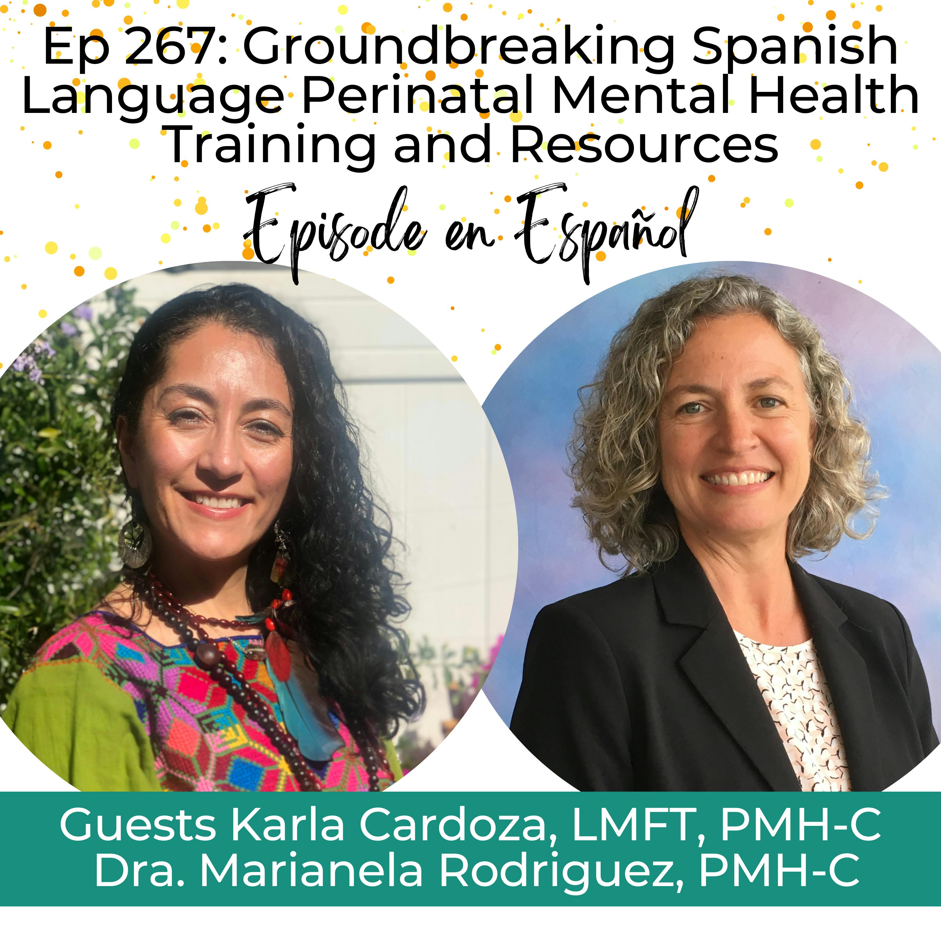 267: Groundbreaking Spanish Language Perinatal Mental Health Training and Resources
