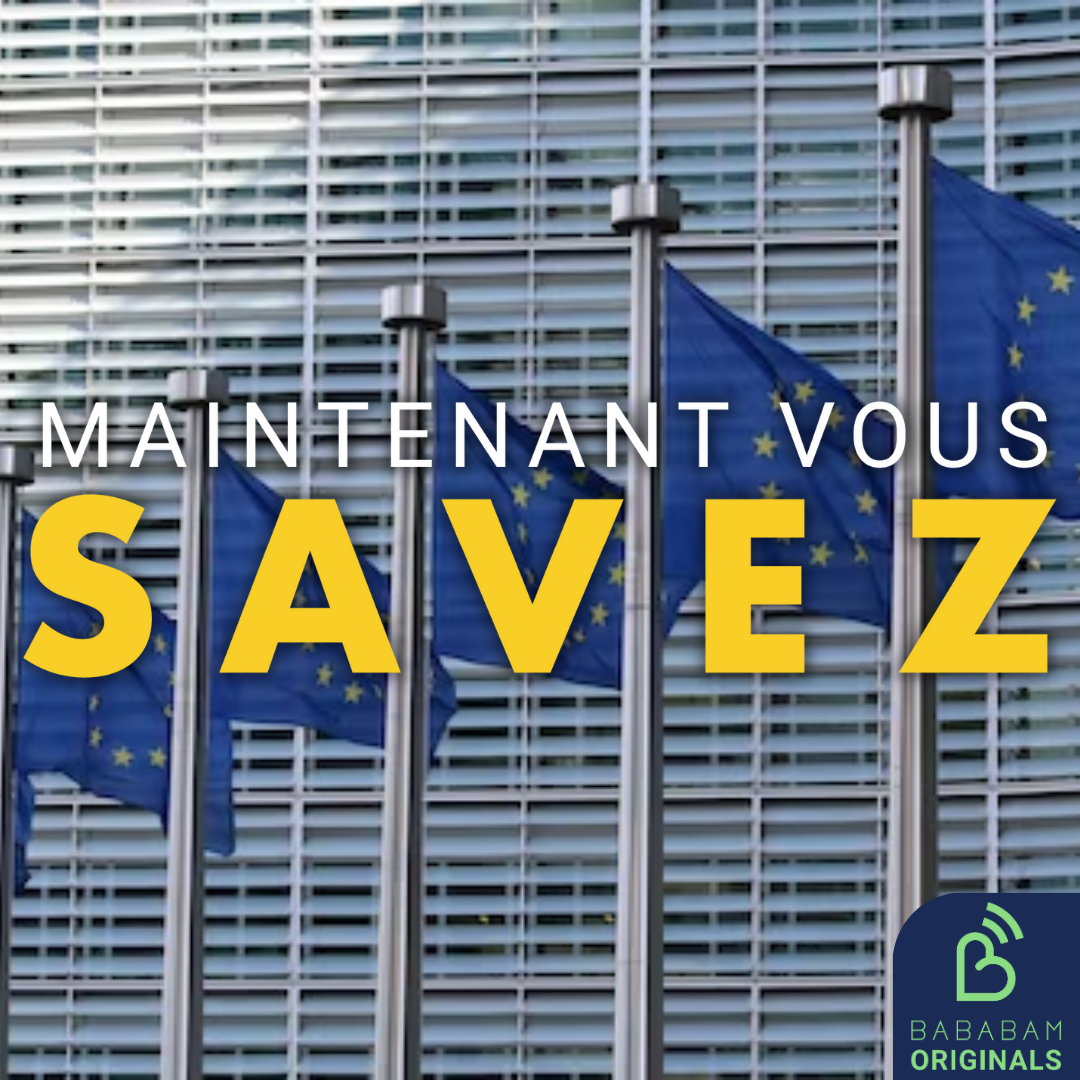 Qu'est-ce que le Parlement européen ?