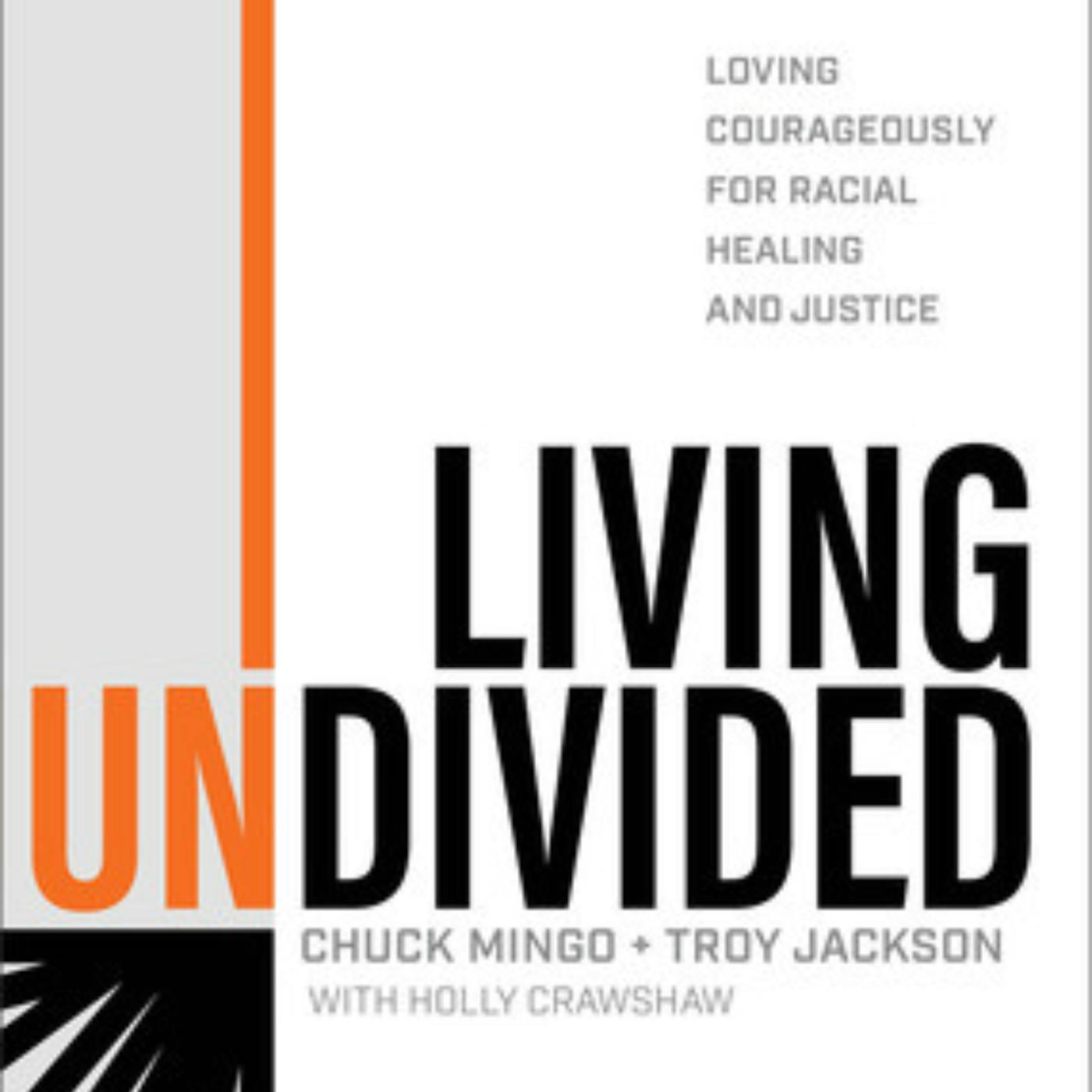223. Living Undivided, Loving Courageously for Racial Healing and Justice // Chuck Mingo and Troy Jackson