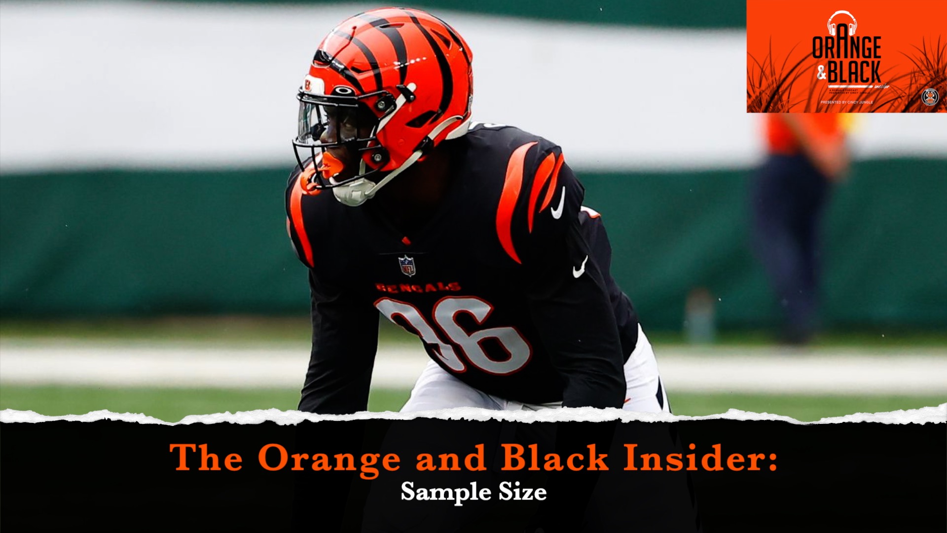 The Orange and Black Insider Bengals podcast: Sample Size episode artwork