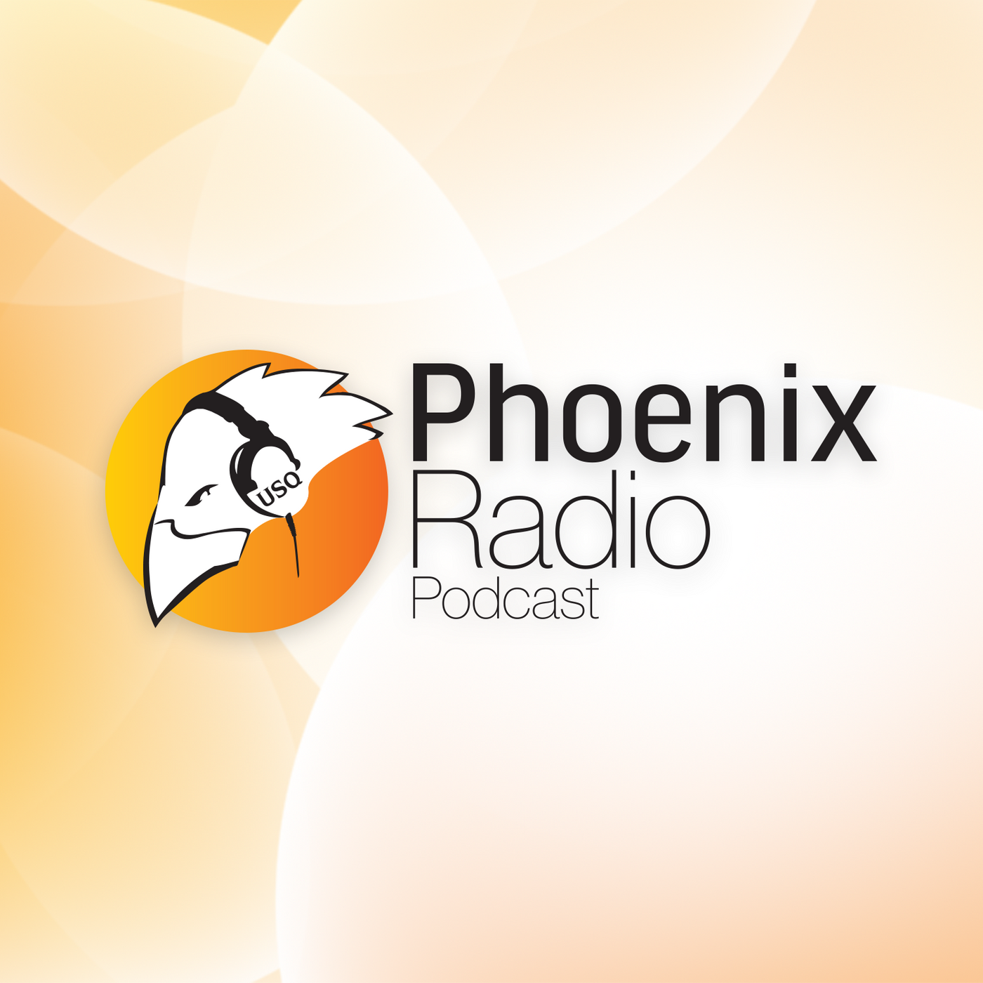 The ICYS Wrap - November 18, 2020 episode artwork