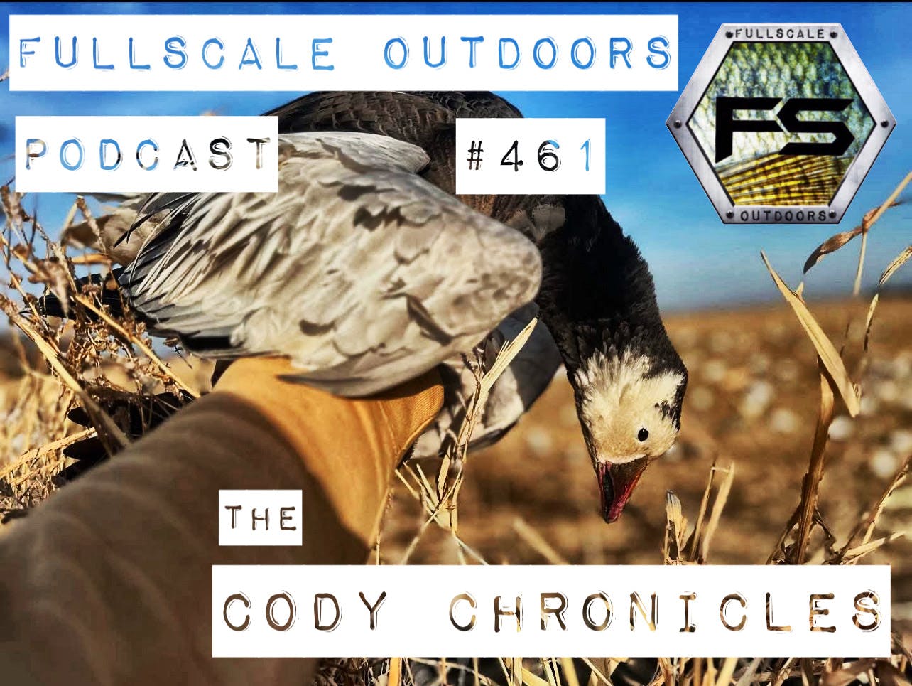 Cody Chronicles Cody Chronicles