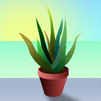 Start – 31 marzo Start – 31 marzo