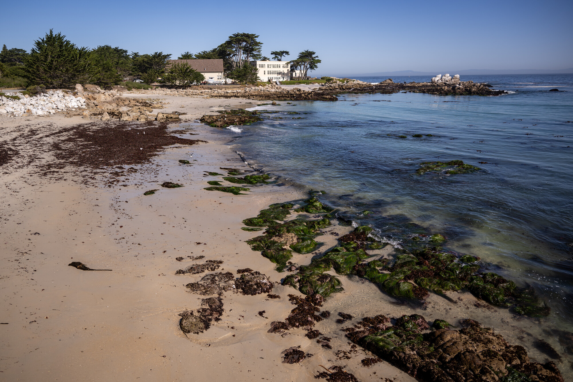 Scientists Warn of Double Threat to Marine Sea Life