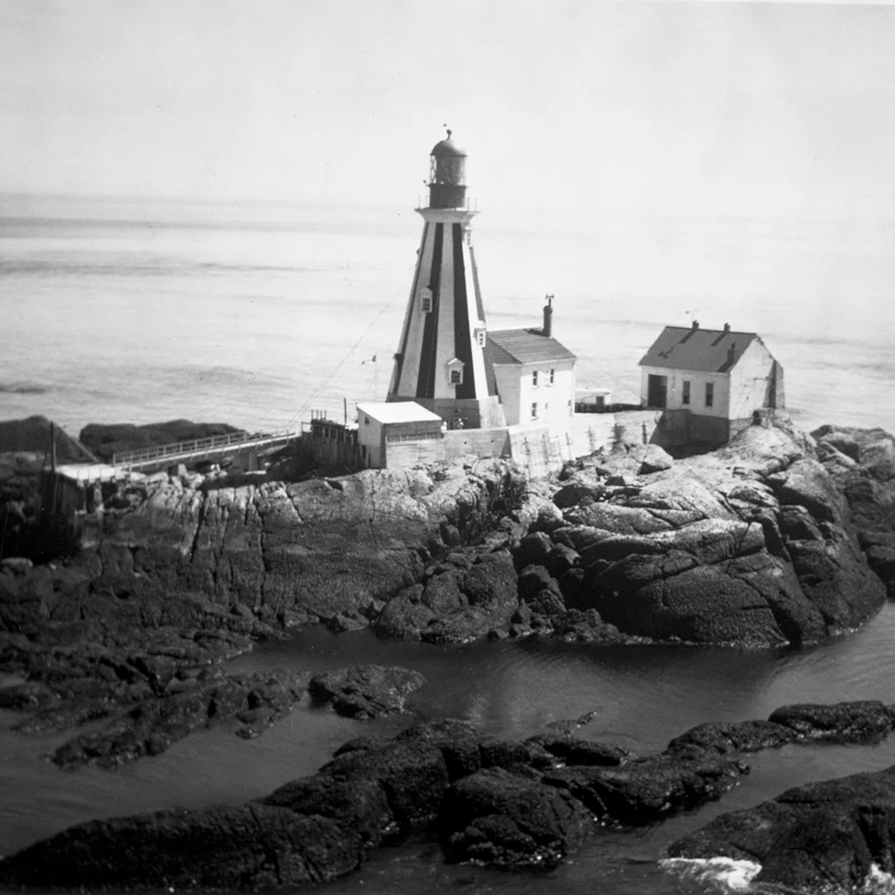 The Boozy End of the SS Warwick