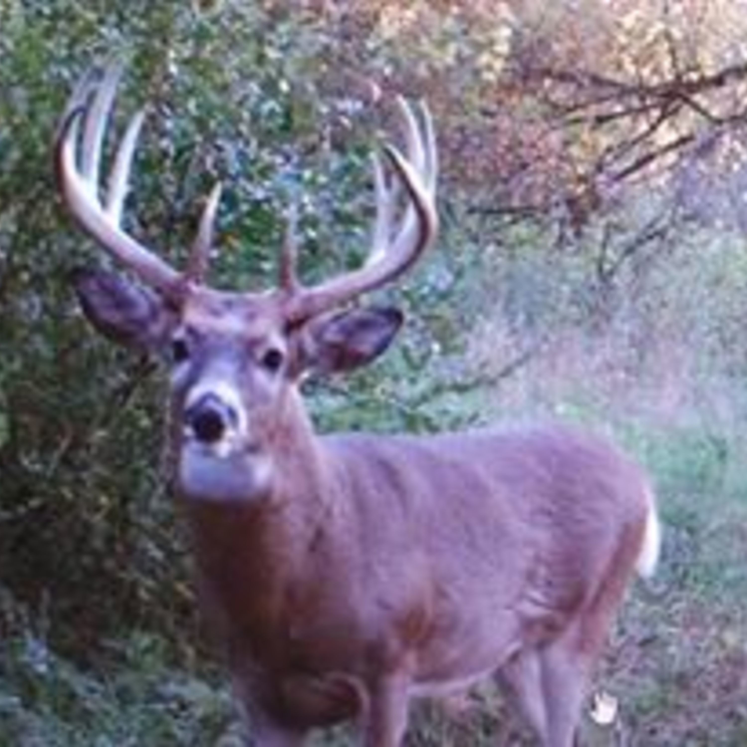 Hunter Profile Podcast | Ryan Mead