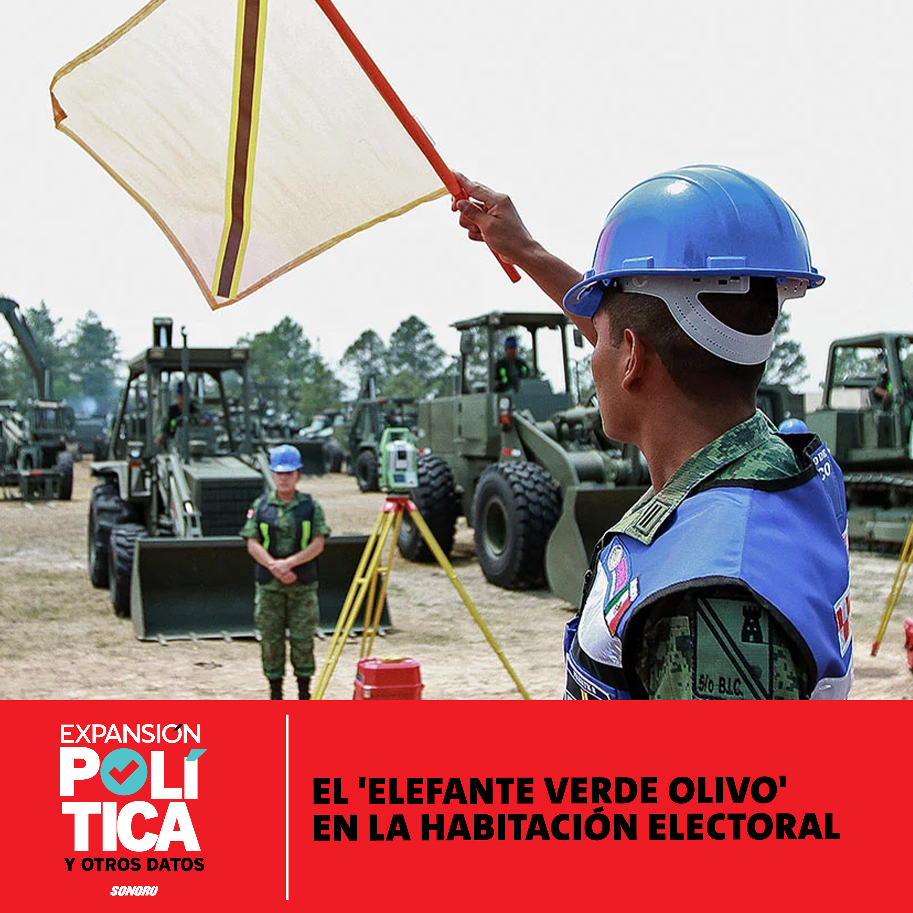 El 'elefante verde olivo' en la habitación electoral | Episodio 155 episode artwork