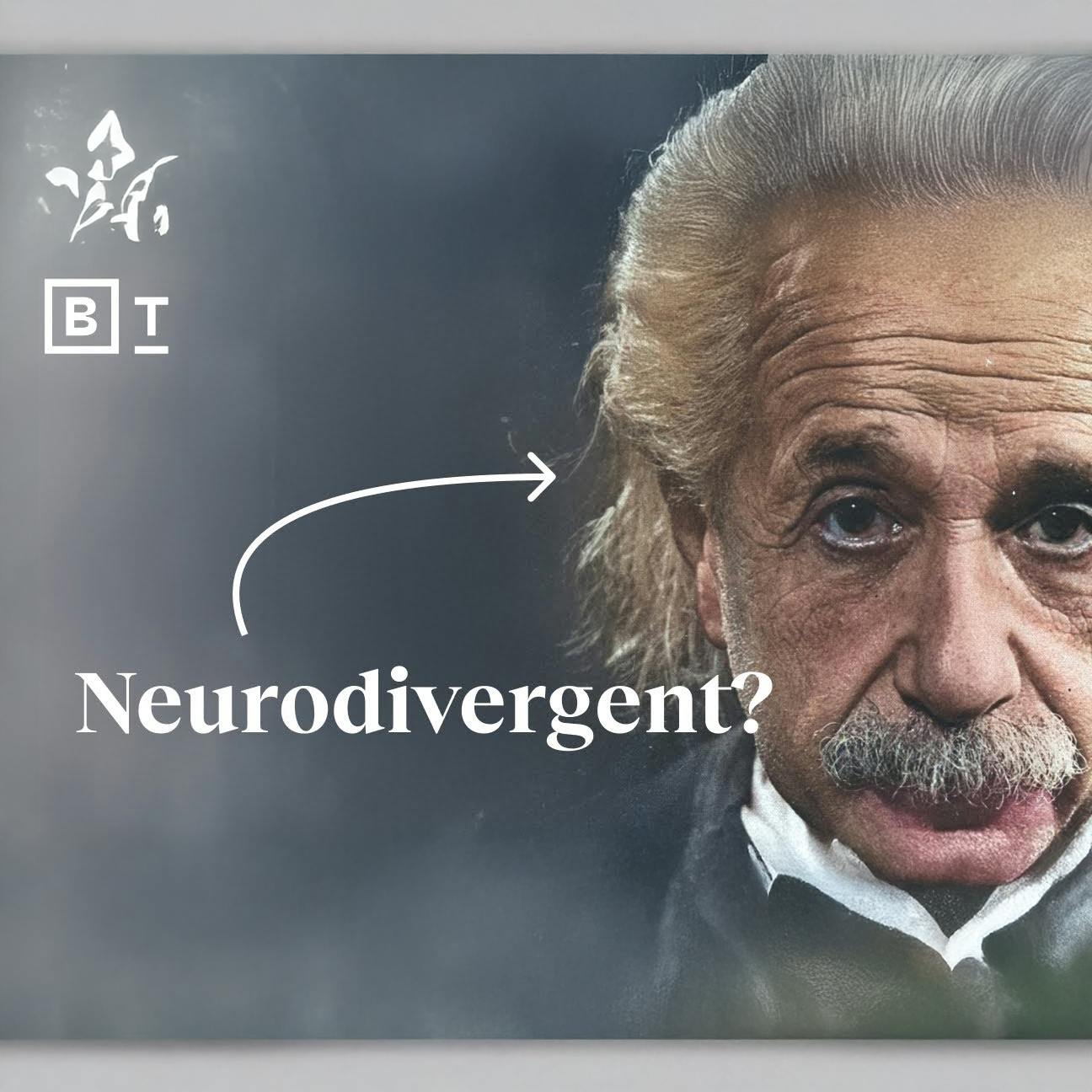 “Einstein would probably be in an autism program today” | Temple Grandin for Big Think+ “Einstein would probably be in an autism program today” | Temple Grandin for Big Think+
