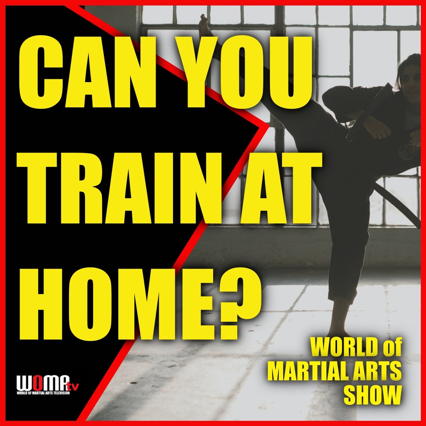 Can You Train At Home? episode artwork
