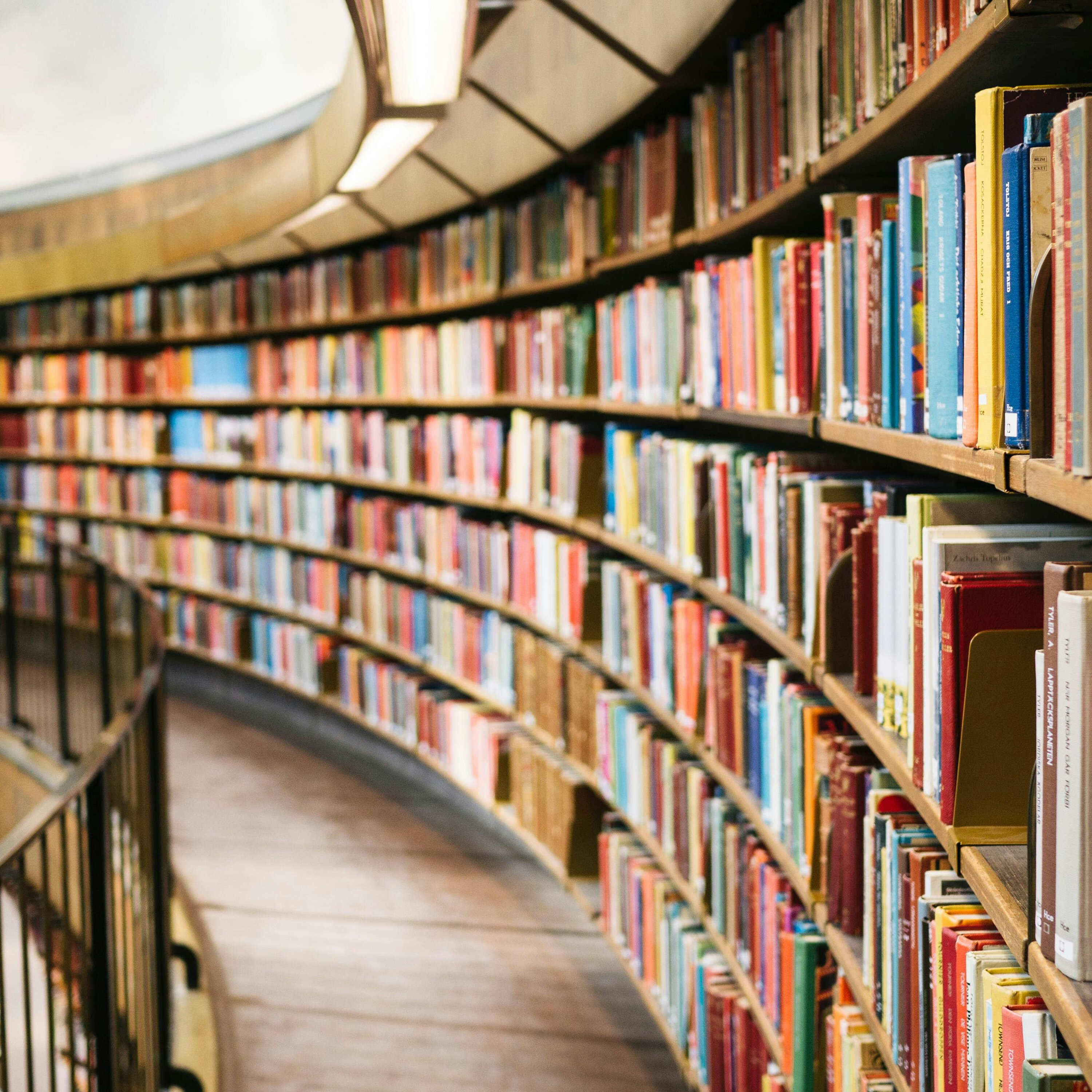 Ep. 270: How To Write A Novel With Author Lian Dolan