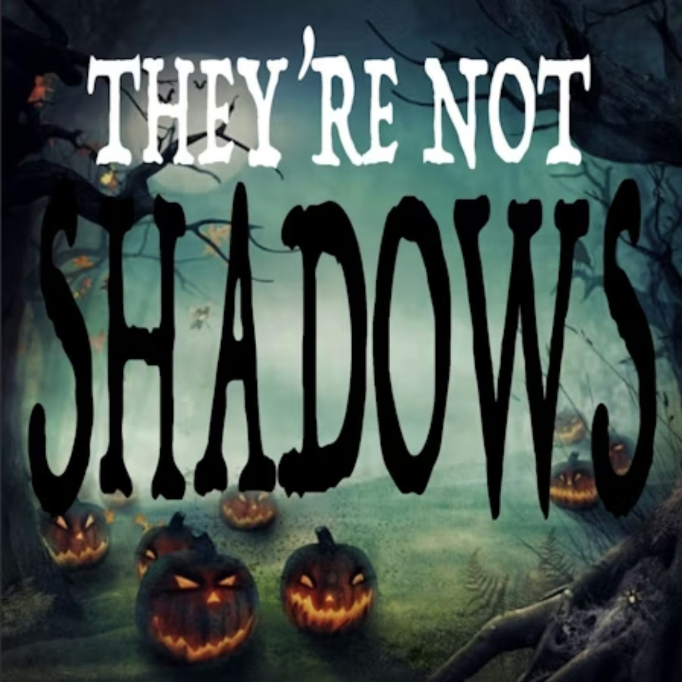 Introducing: They're Not Shadows