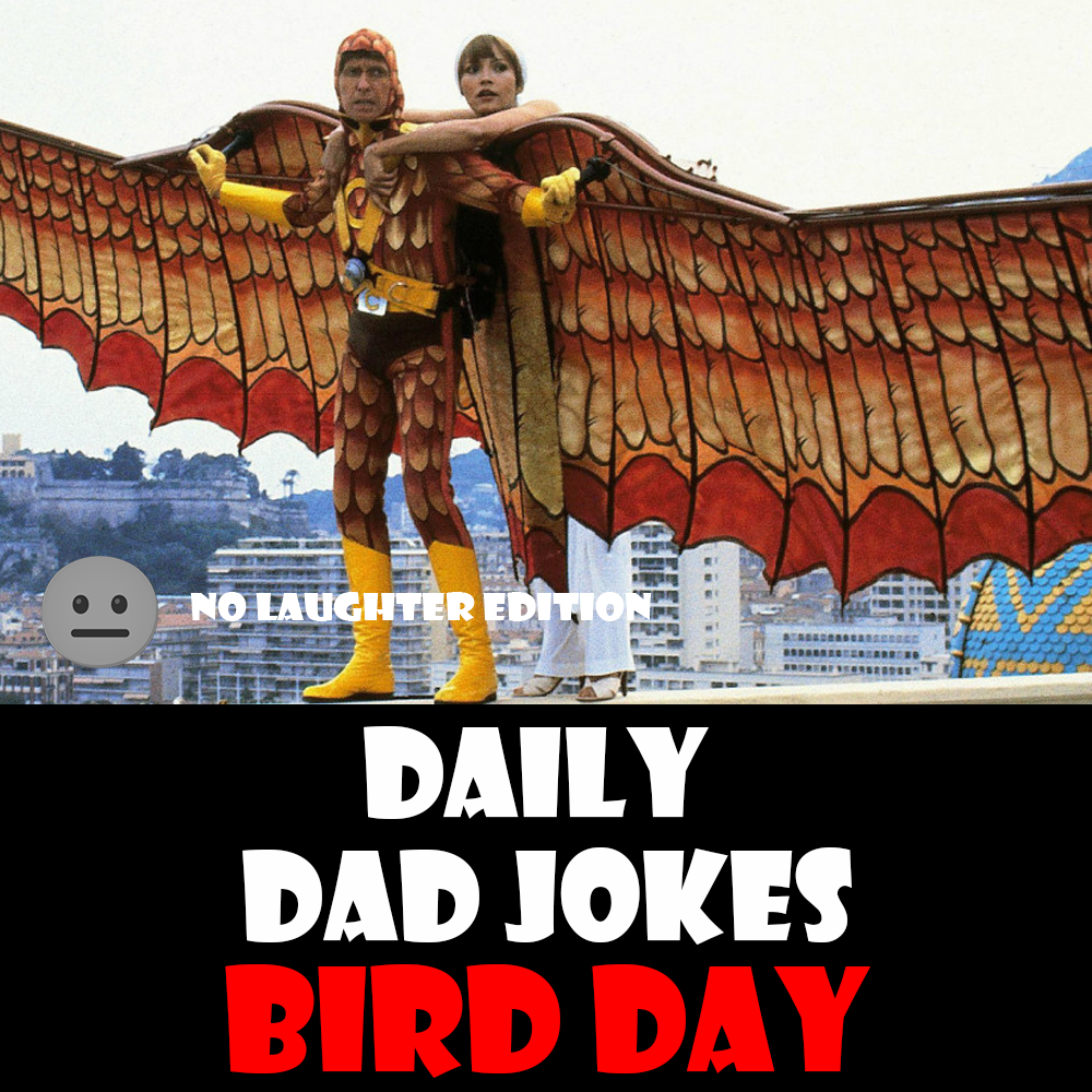 [No Laughter Version] National Bird Day! 29 tweetable dad jokes! 05 January 2026