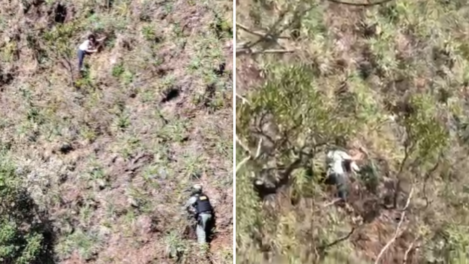Mulher é encontrada viva após ser jogada em penhasco pelo ex-companheiro; veja vídeo episode artwork